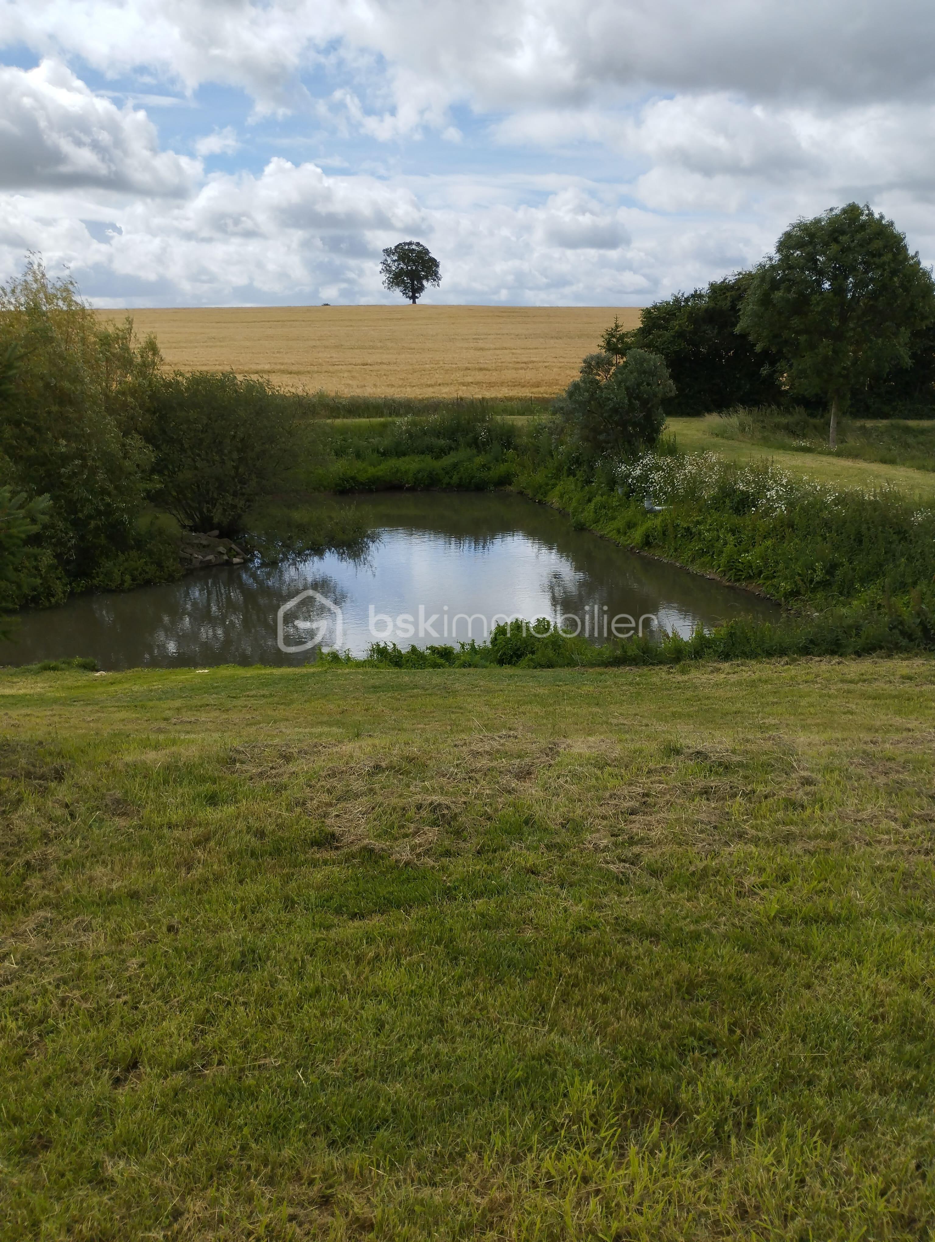Pièce d'eau.jpg