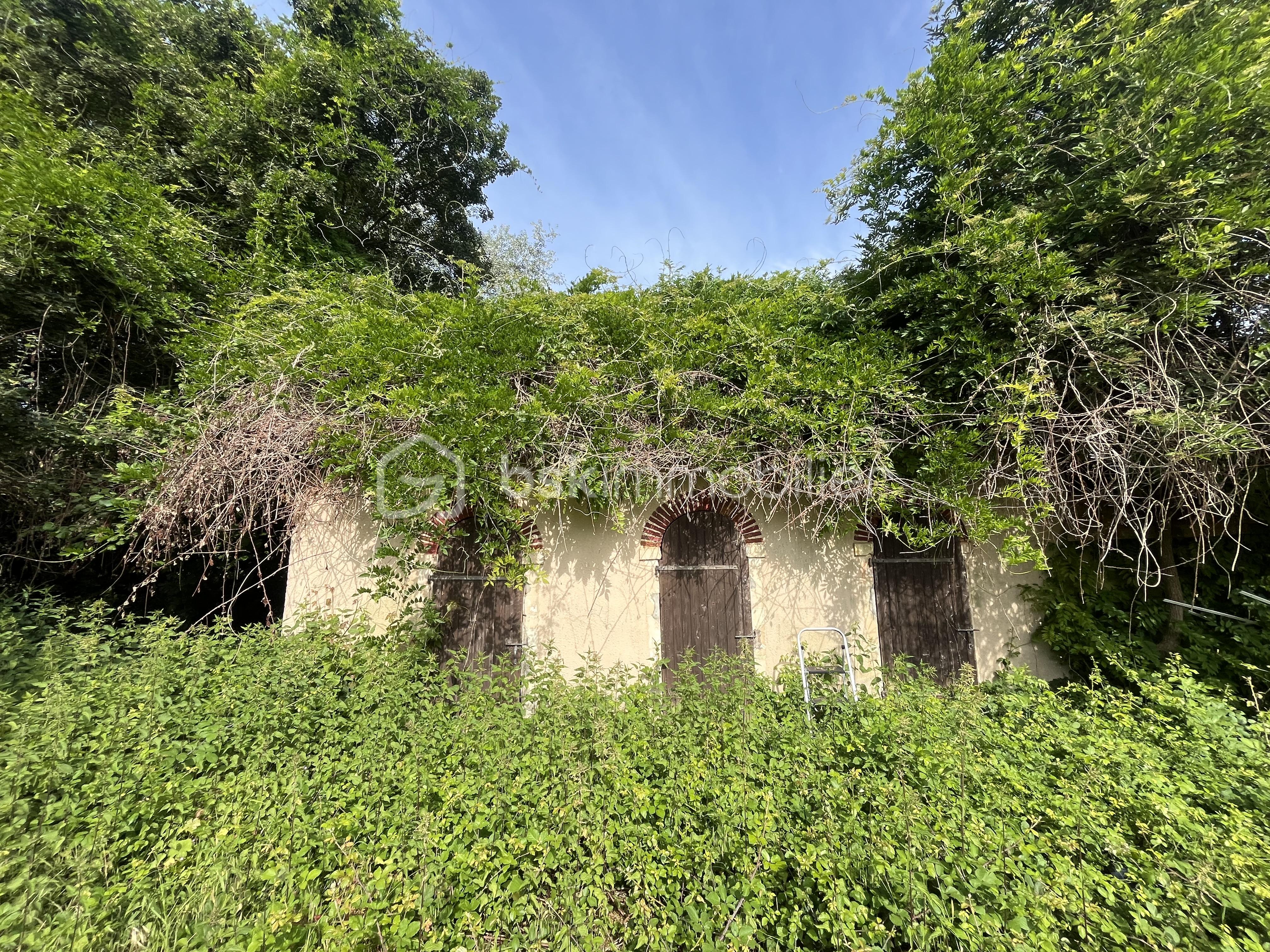 IMG_8970.jpeg