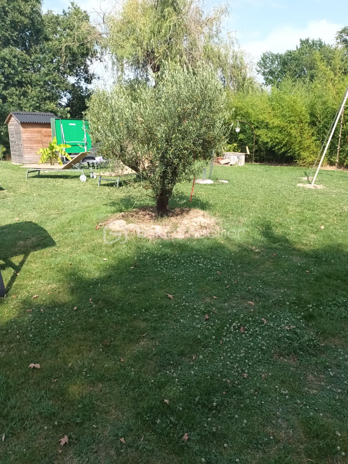 Maison traditionnelle de 156 m² - jardin.jpg