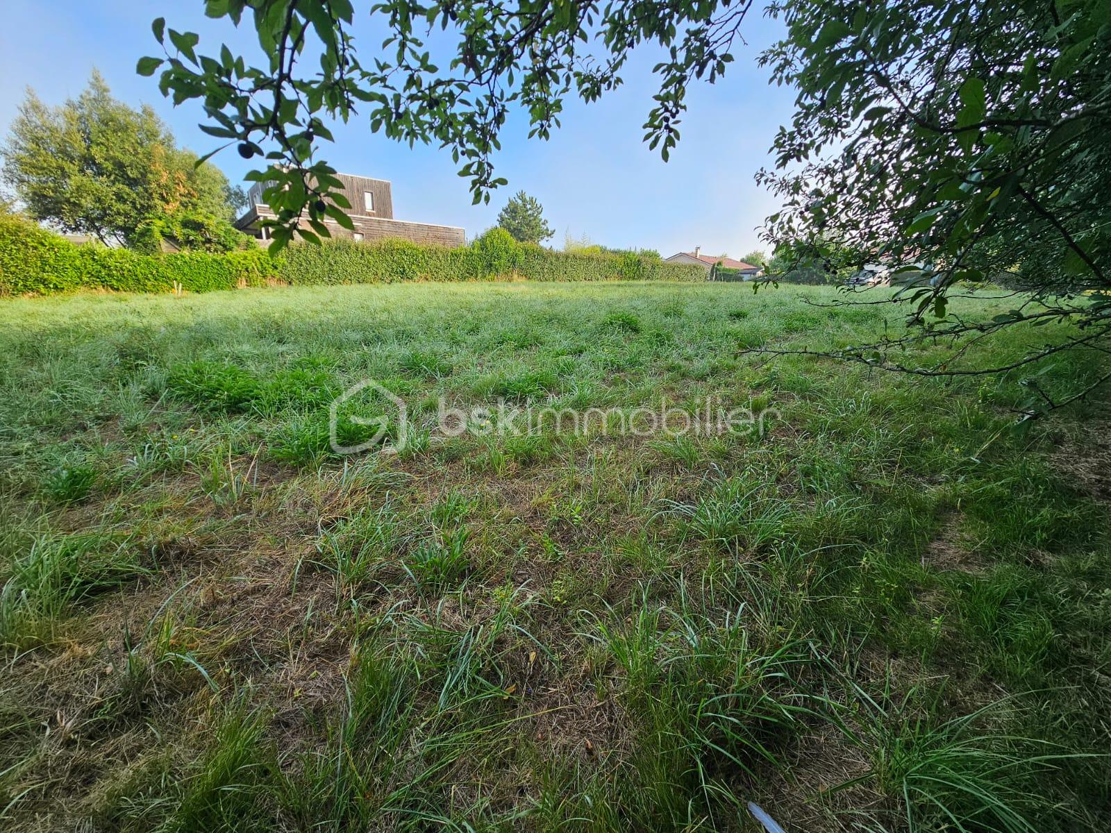 Terrain de 2 120,99 m² - Ensemble (1).jpg