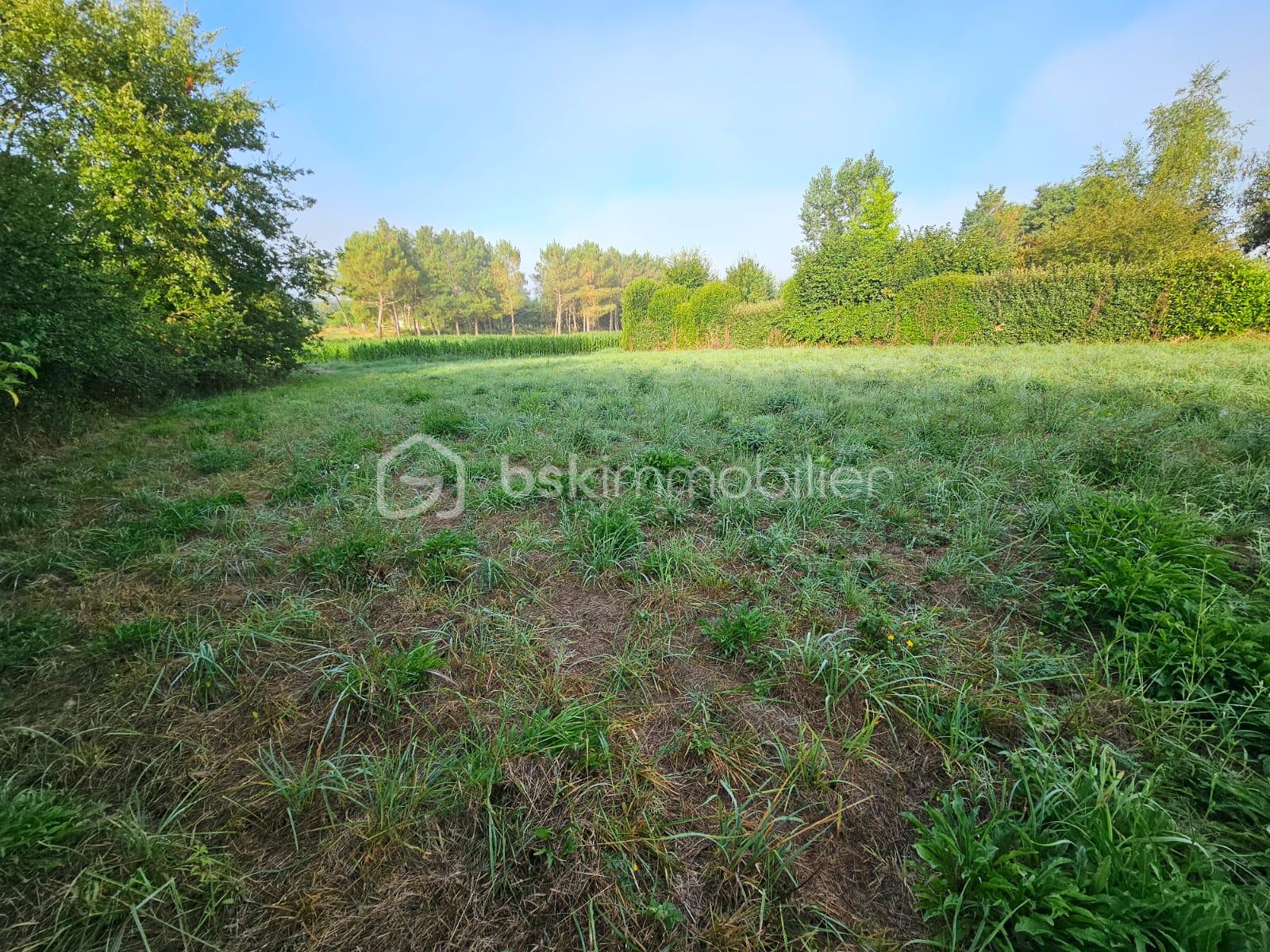 Terrain de 2 120,99 m² - Ensemble.jpg