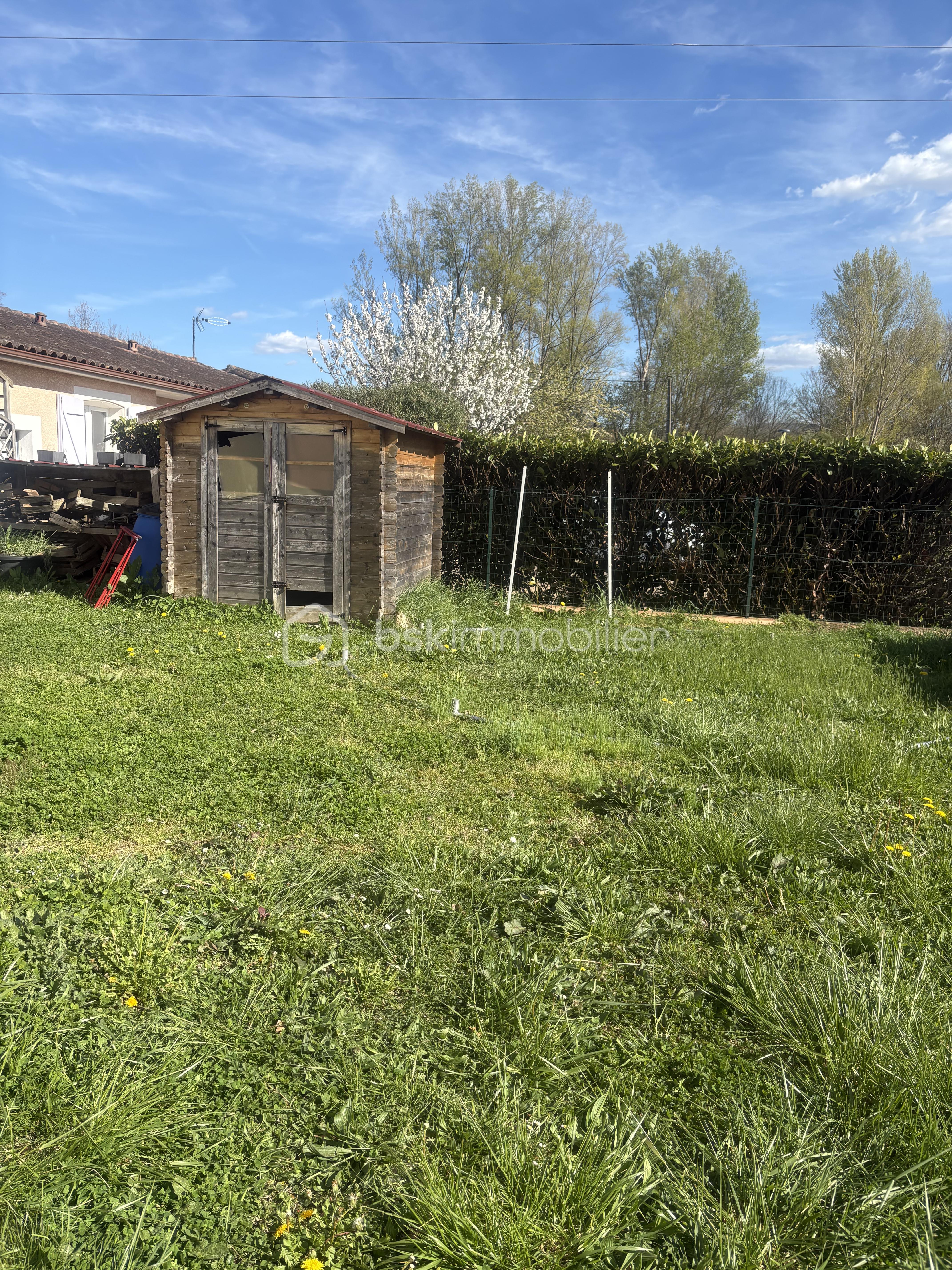 IMG_3309.jpeg