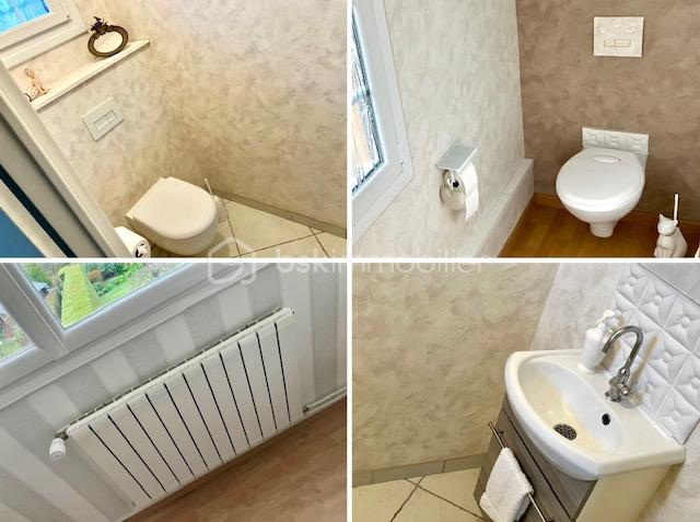 Maison contemporaine de 230 m² - seillier amalgame wc.jpg