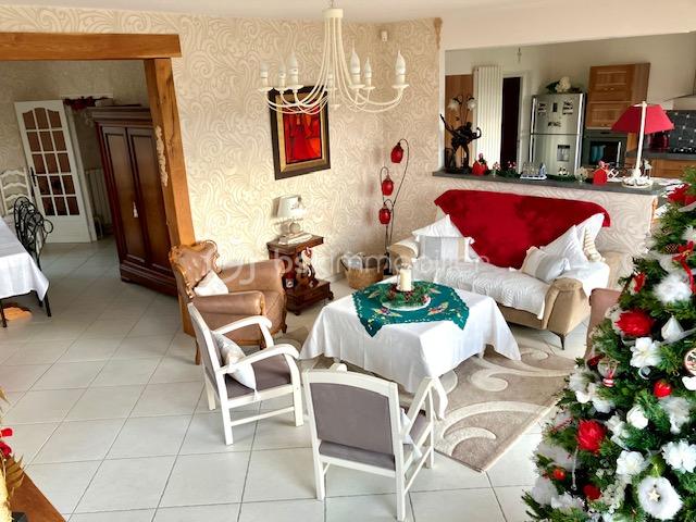 Maison contemporaine de 230 m² - seillier salon de l'angle.jpg