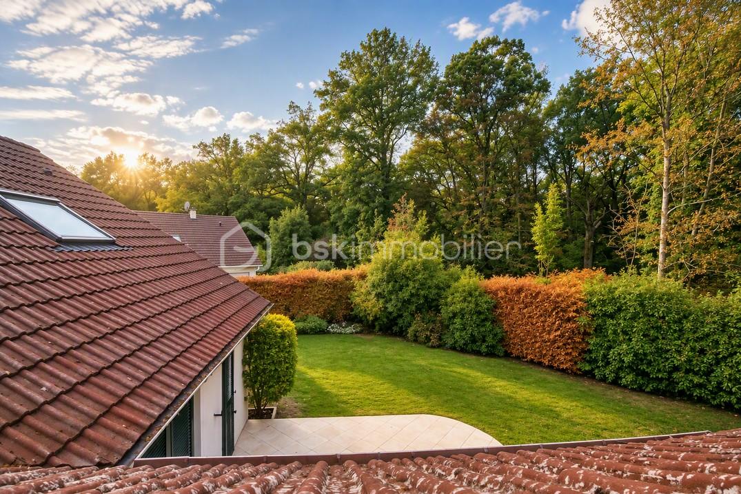 25 VU DES VELUX.jpg