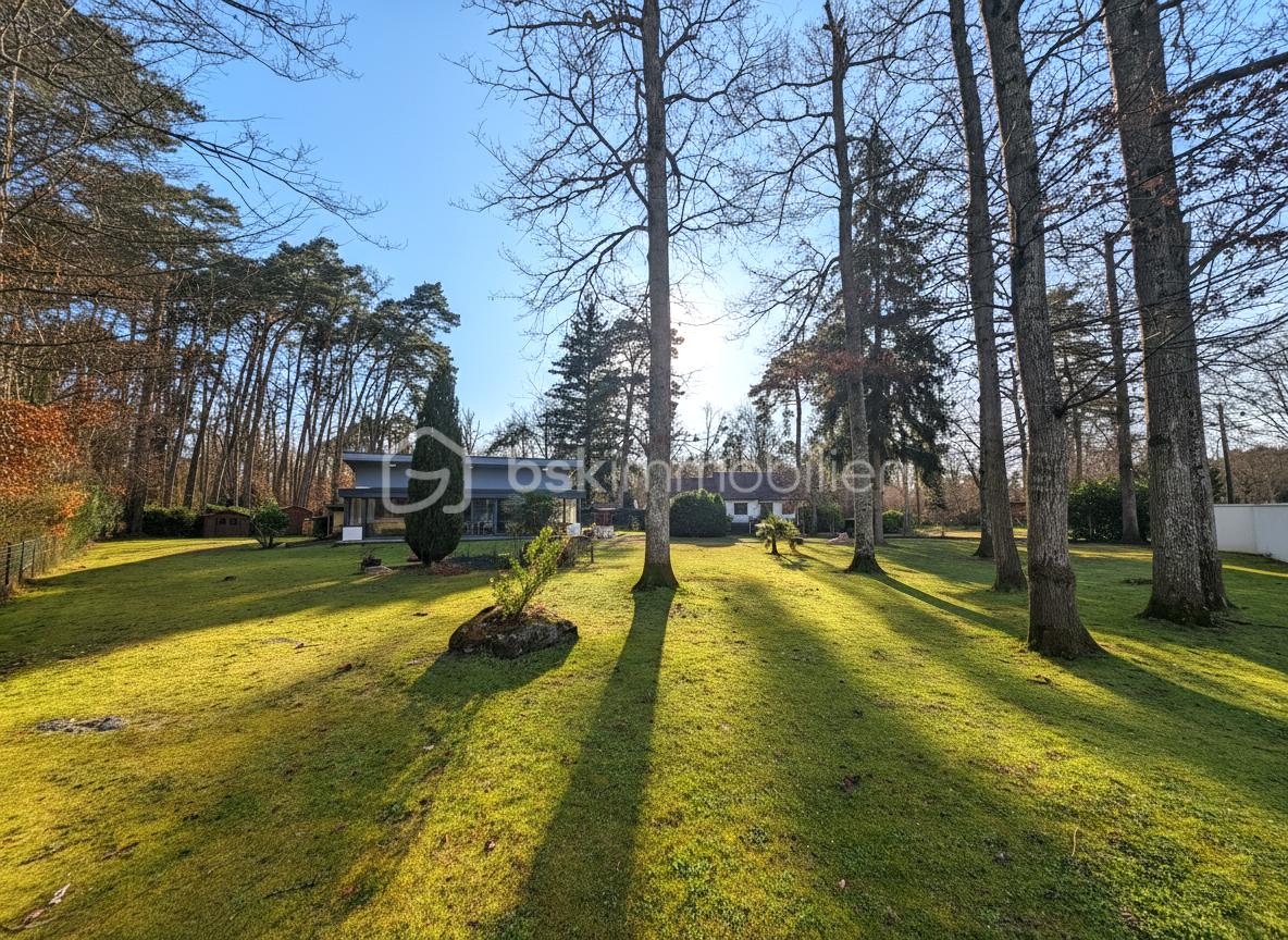 Maison d architecte de 135 m² - jardin.jpg