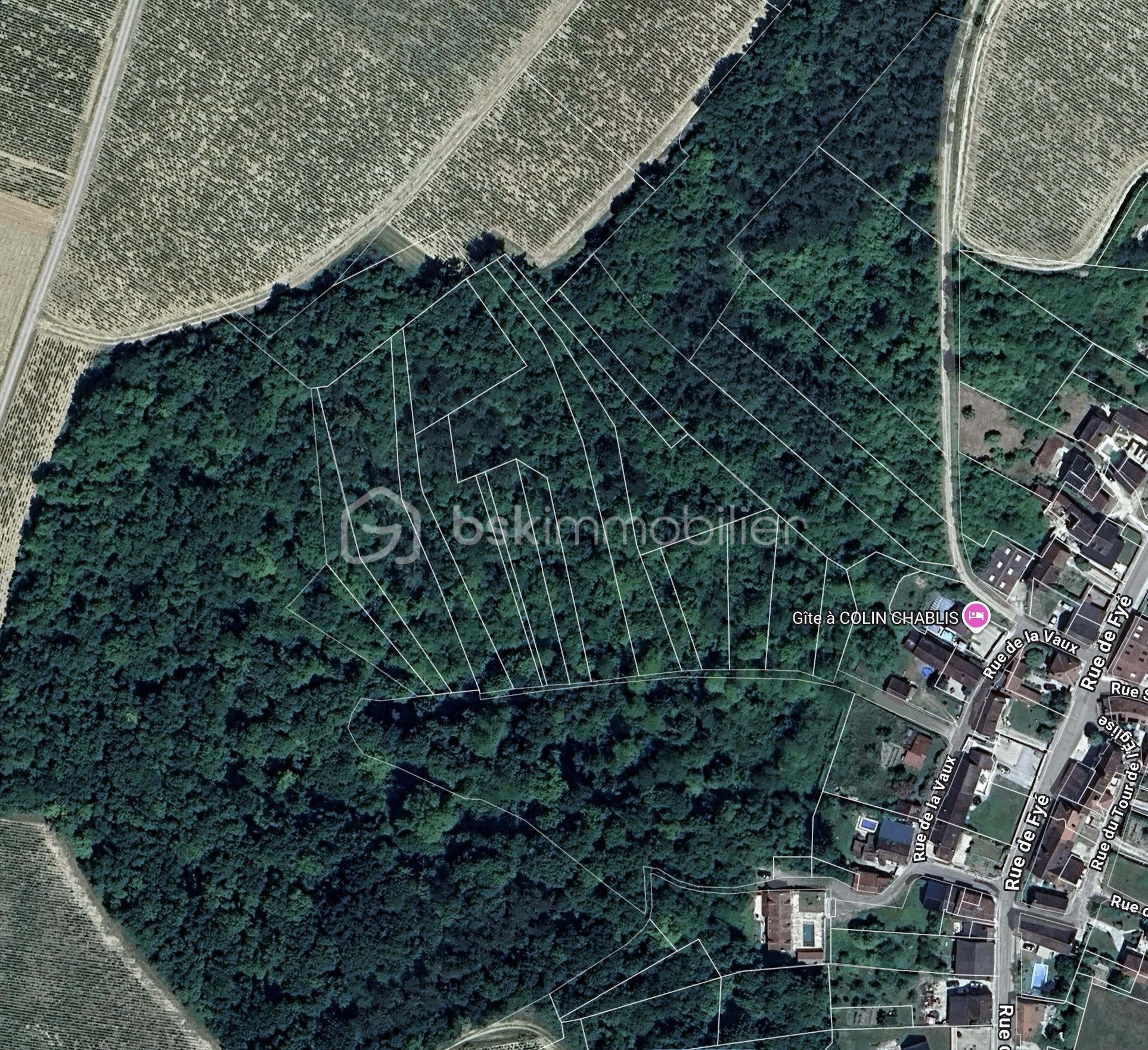 Terrain viticole de 3 547 m²