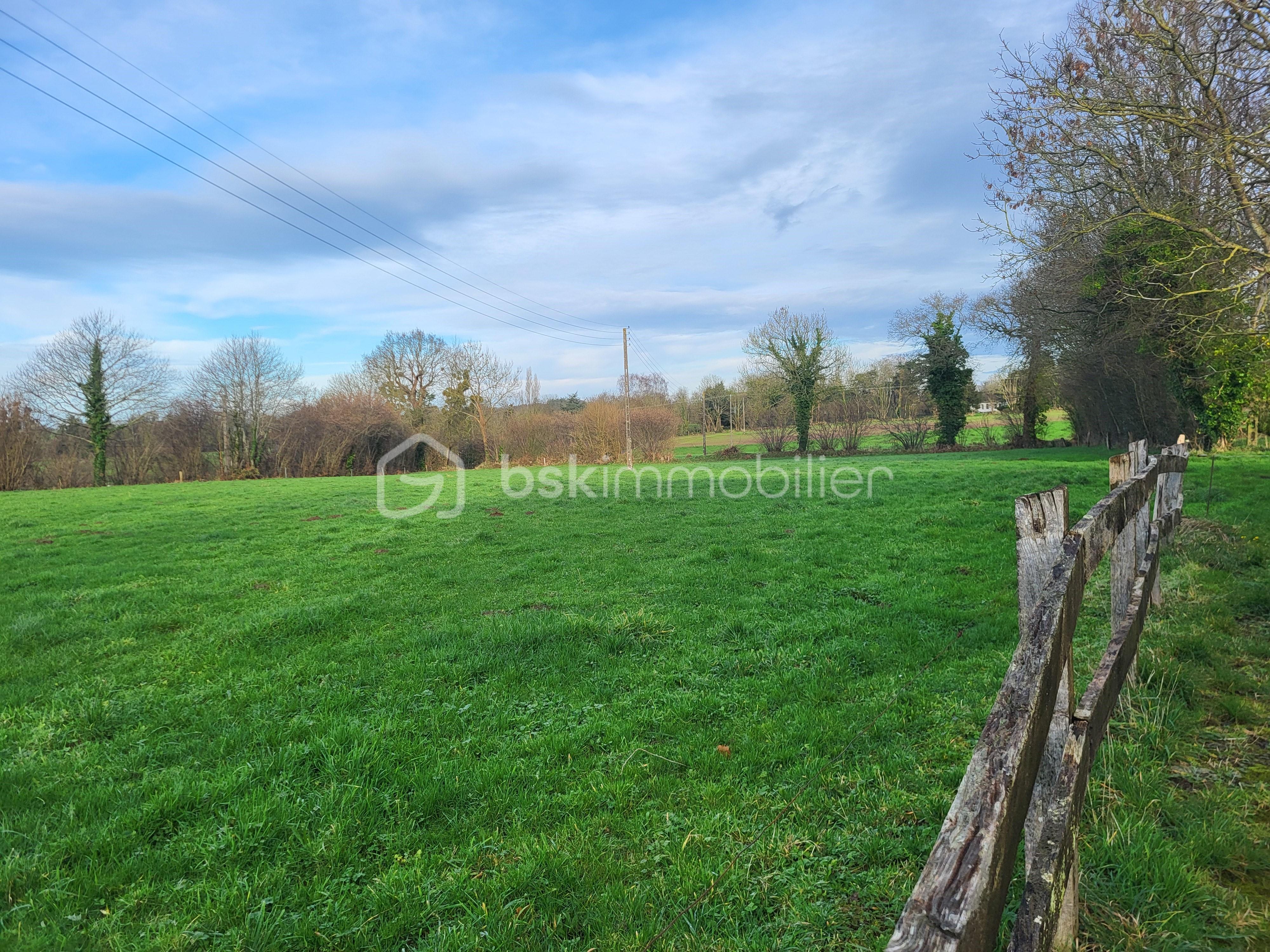 Maison de 120 m² - terrain 2.jpg