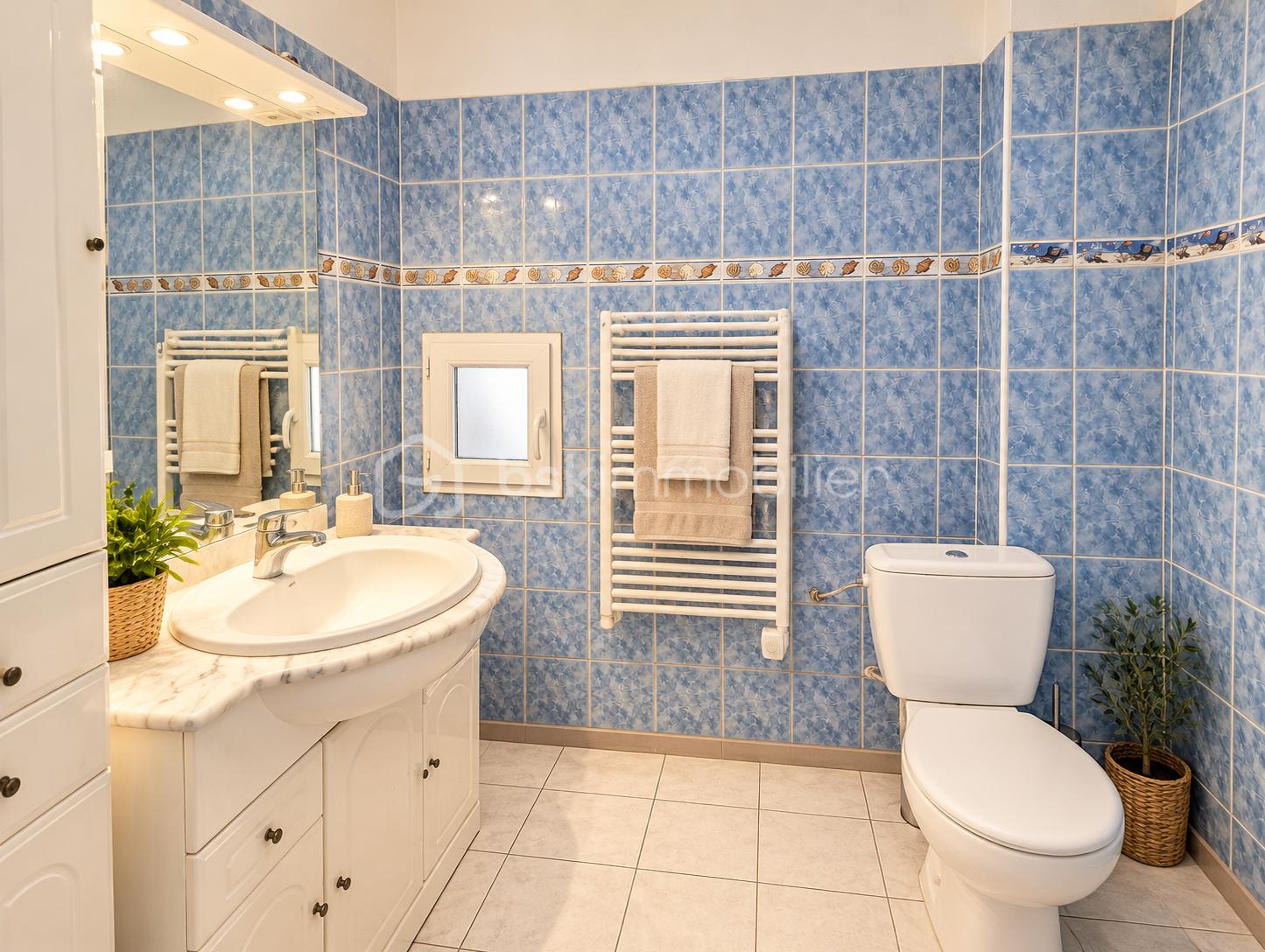 Salle de bain bleue élégante et lumineuse.png