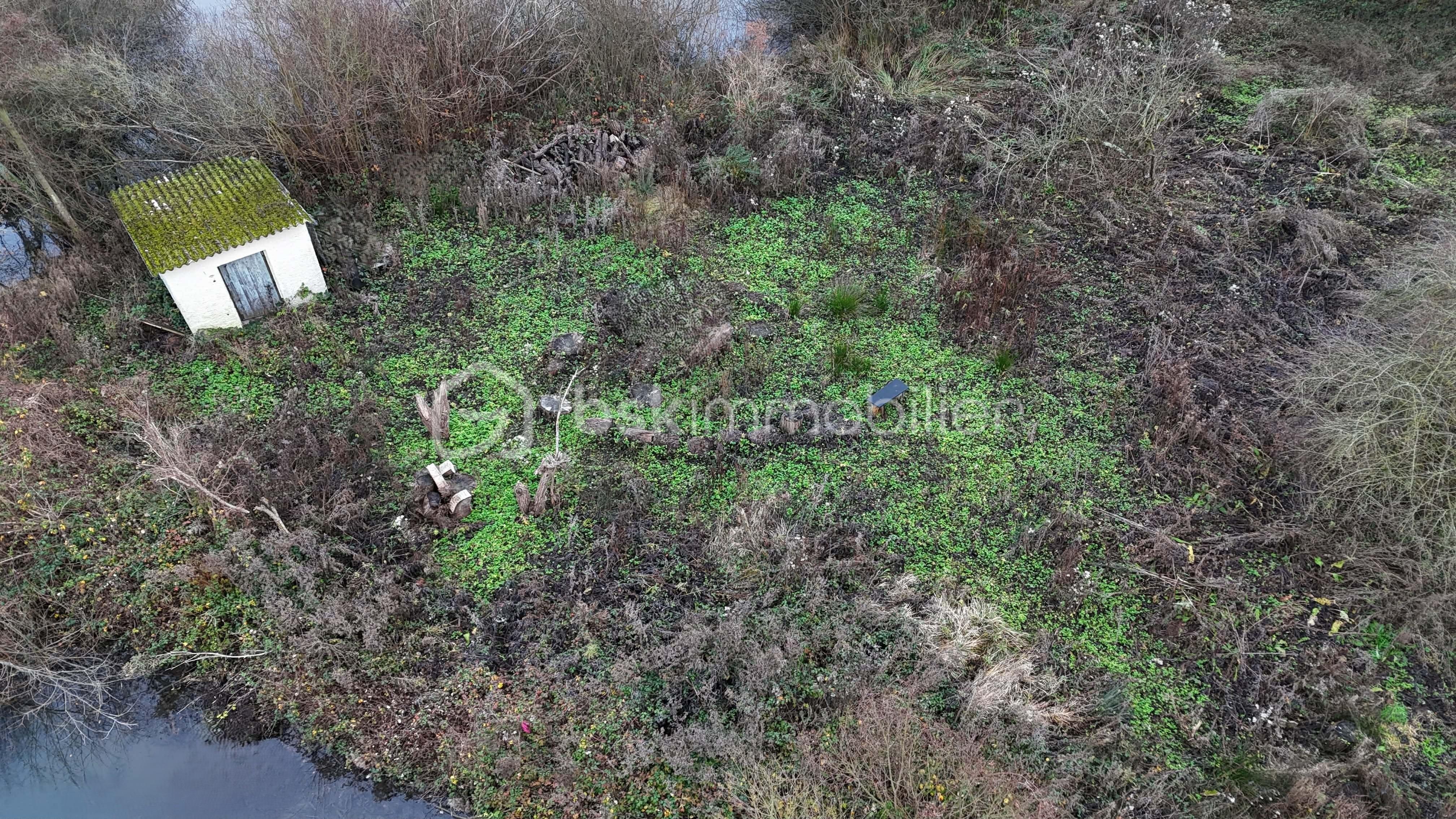 Terrain de loisirs de 4 584 m² - 6.jpg