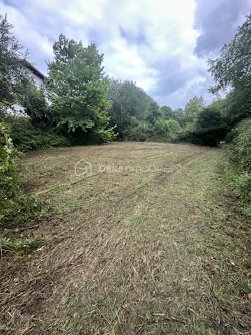 Terrain de 4 266 m² - C99A2C0B-CD42-453D-AE36-7E44721CA17D_4_5005_c.jpeg