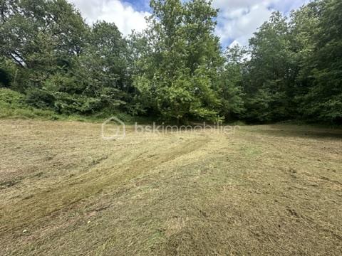 Terrain de 4 266 m² - 92093F84-54C9-45A5-B01B-58BDC351EB82_4_5005_c.jpeg