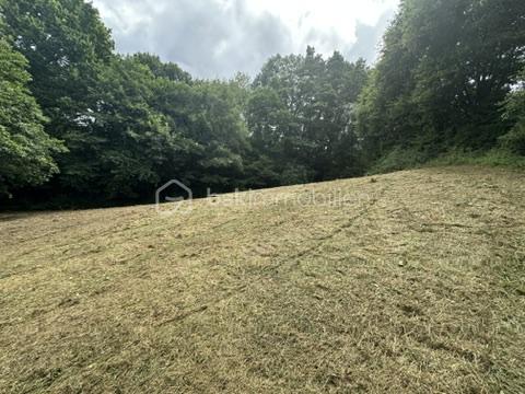 Terrain de 4 266 m² - 8D31D0CA-B26A-4DB3-BC94-F4F915E8B09D_4_5005_c.jpeg
