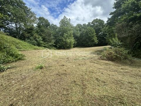 Terrain de 4 266 m² - F4840107-9F3D-4743-B444-3FC42309827B_4_5005_c.jpeg