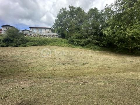 Terrain de 4 266 m² - FAD1F74C-AA60-4594-83CB-D0E1C6E7EA19_4_5005_c.jpeg