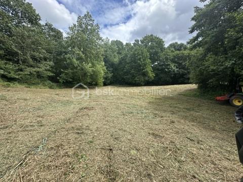 Terrain de 4 266 m² - E2C42945-3E26-4589-97C9-8FF00E49F03C_4_5005_c.jpeg