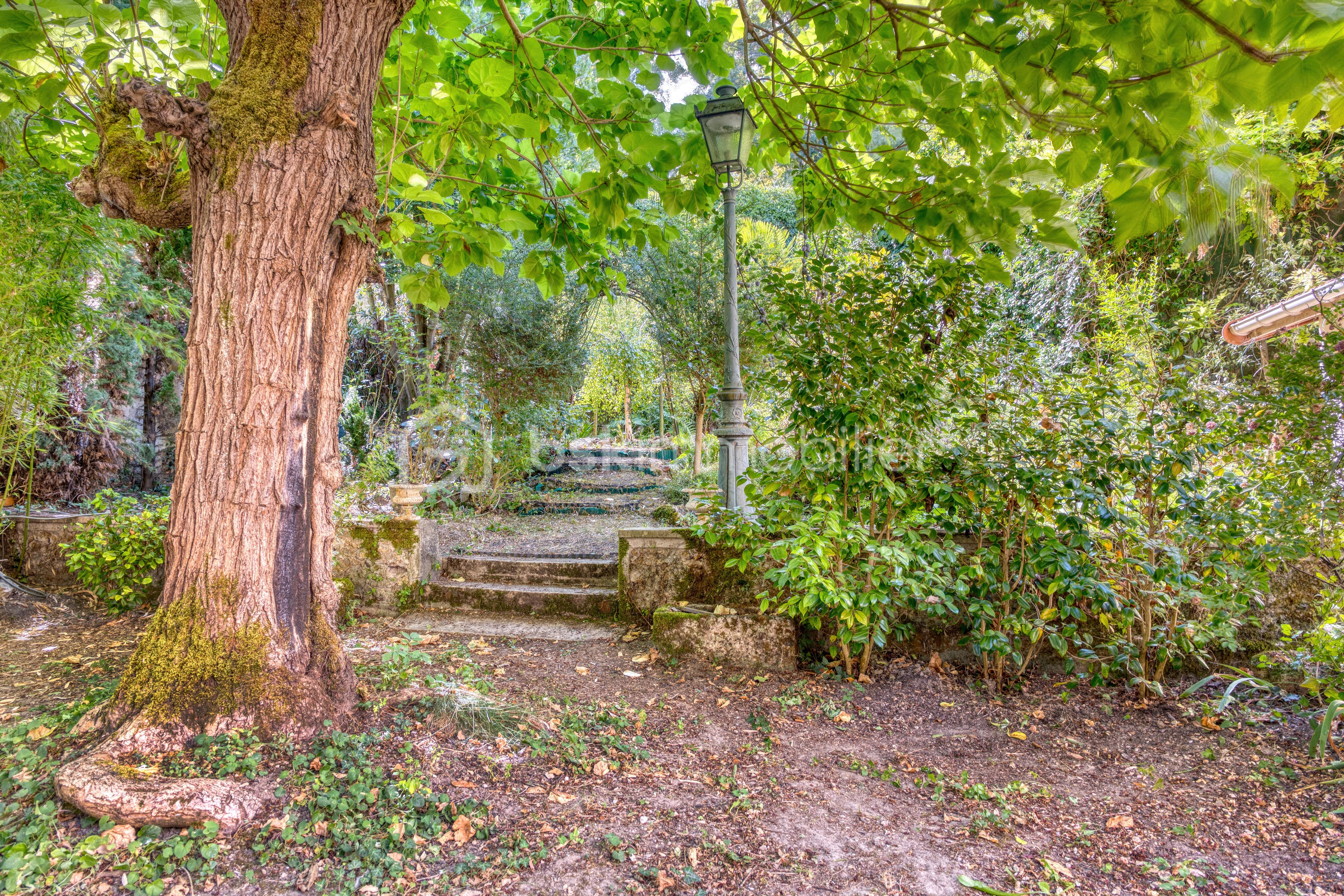 DSC_7254_HDR.jpeg