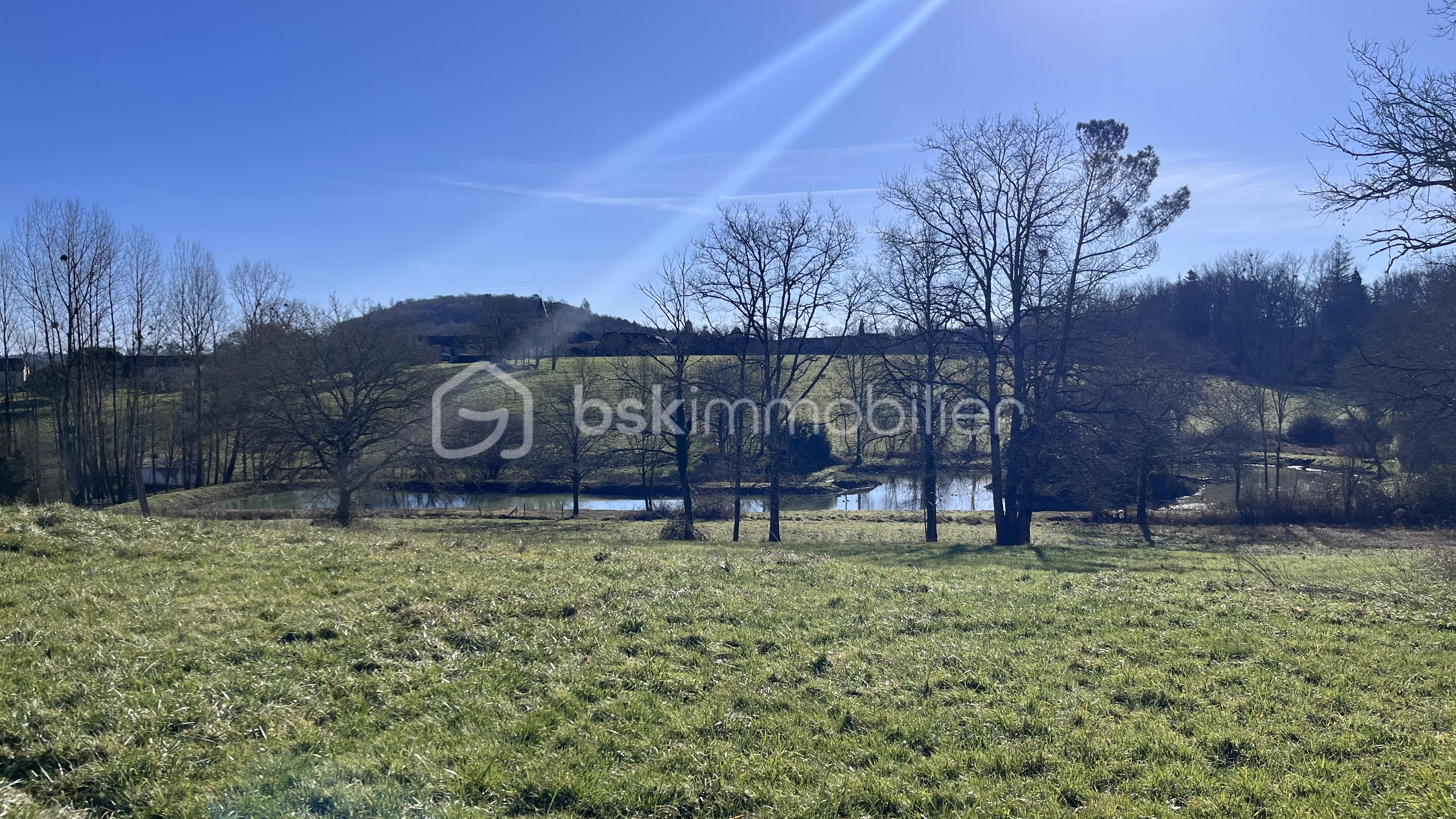 Terrain de 12 247 m² - IMG_0157.jpg