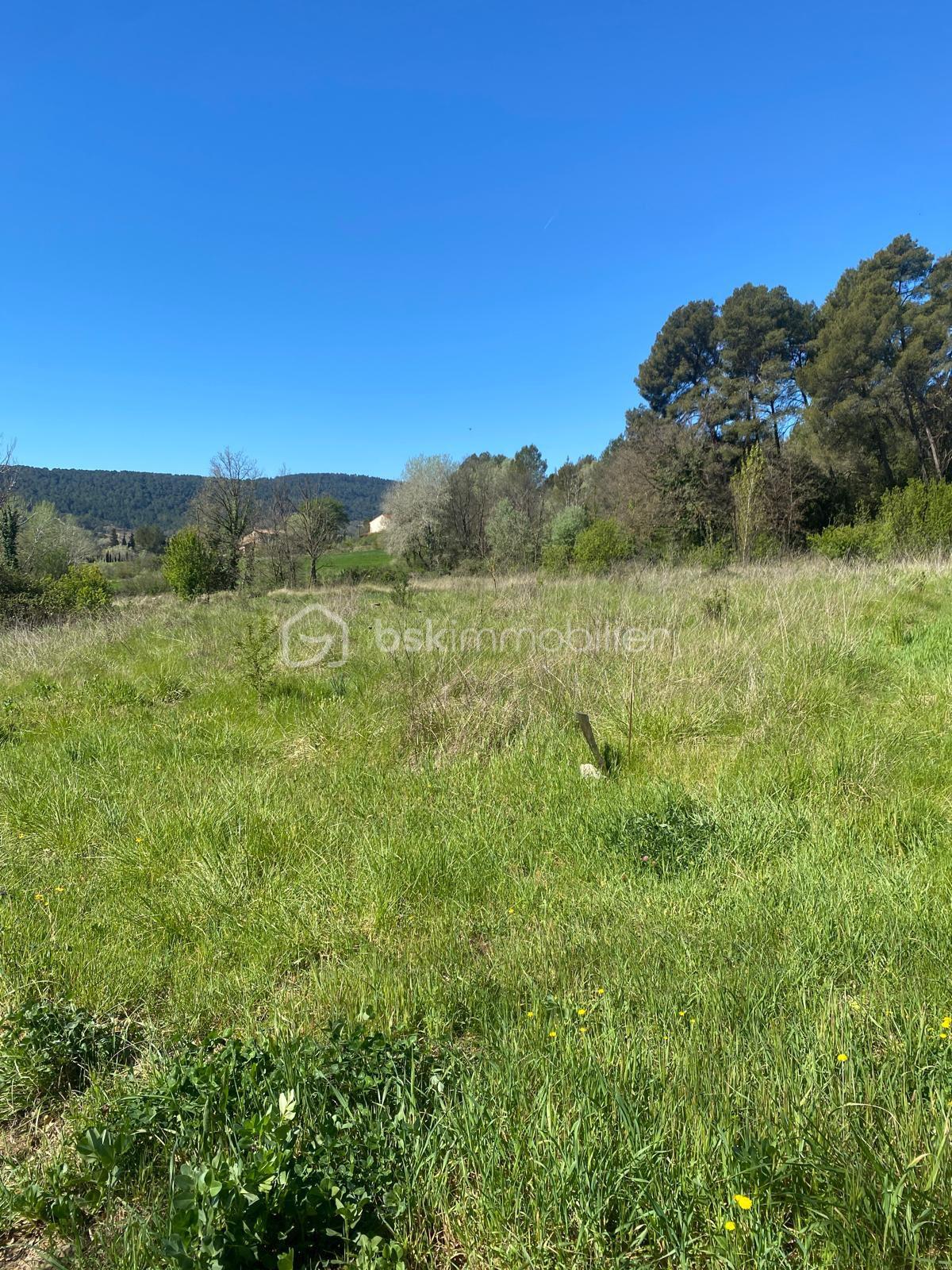 WhatsApp Image 2026-04-08 at 16.52.43.jpeg