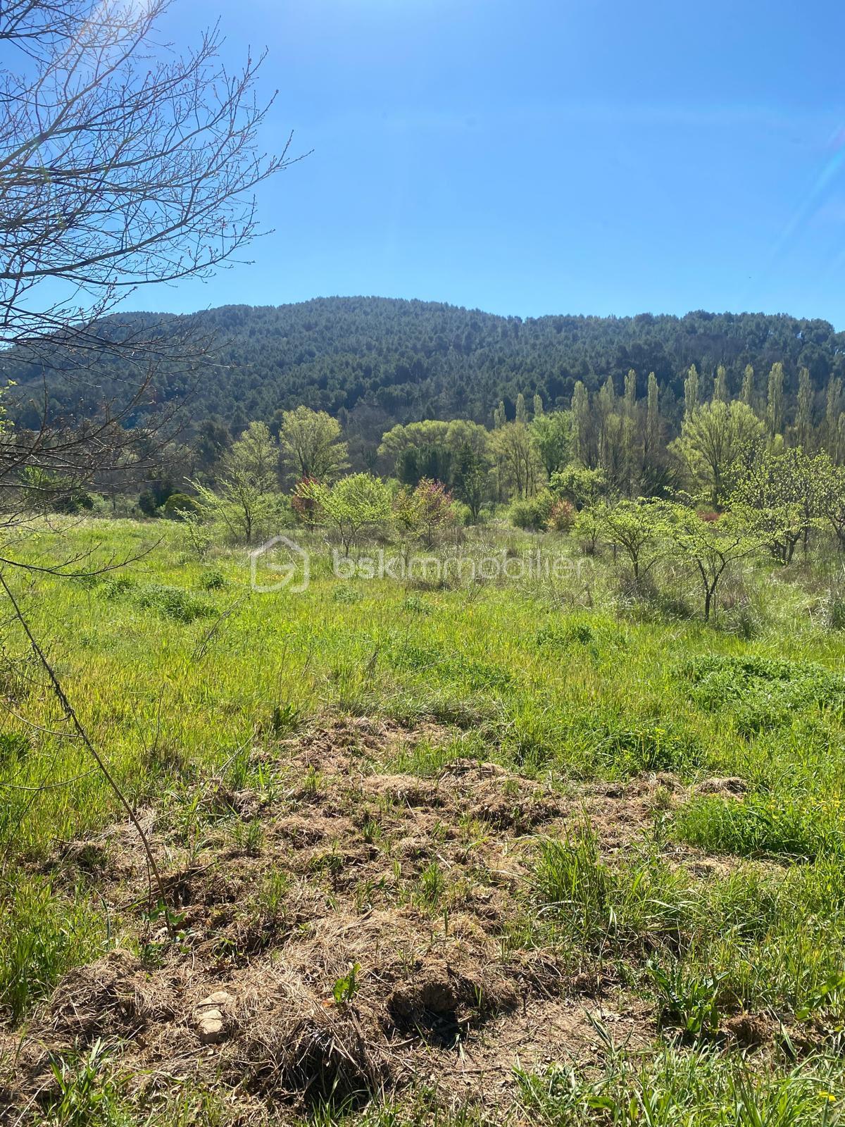 WhatsApp Image 2026-04-08 at 16.52.44.jpeg