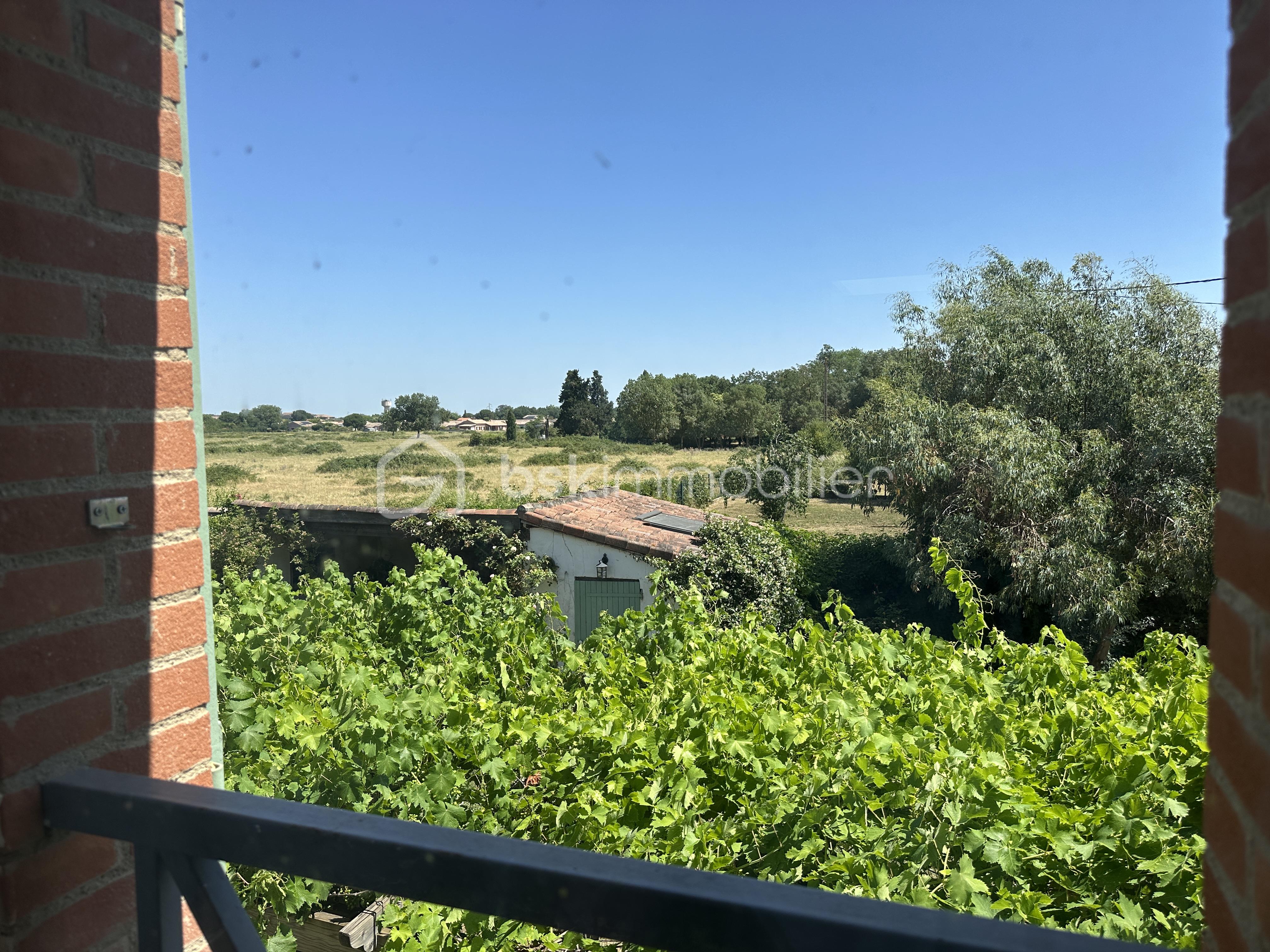 IMG_4089.jpeg