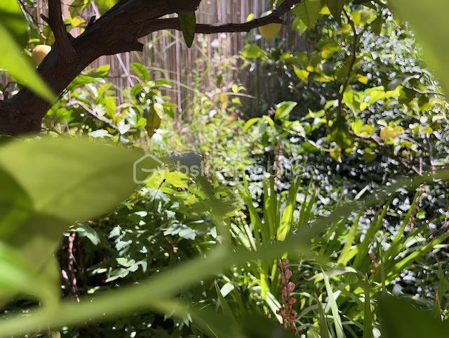 jardin-maison-toulon.png