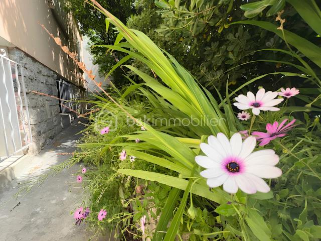 fleur-jardin-appartement-maison-toulon.png