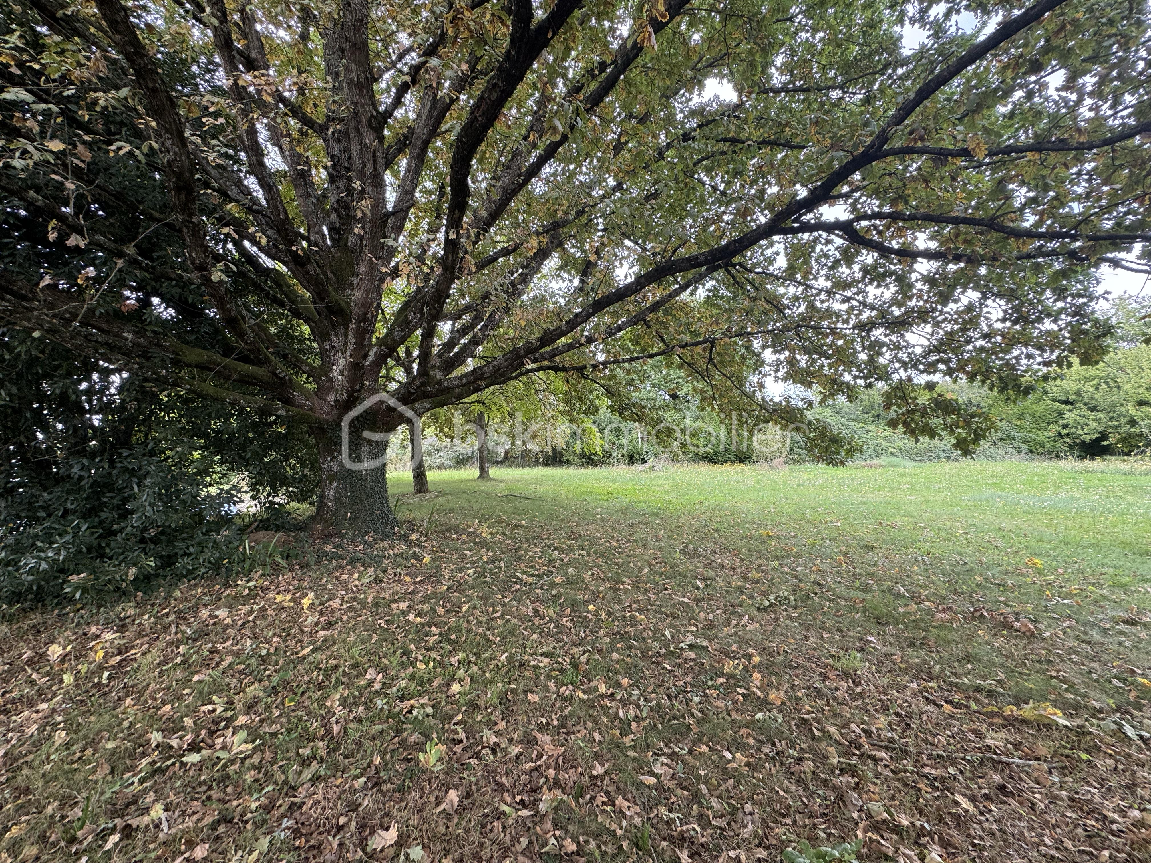 Pavillon de 120 m² - tempImage2nzI3y.png