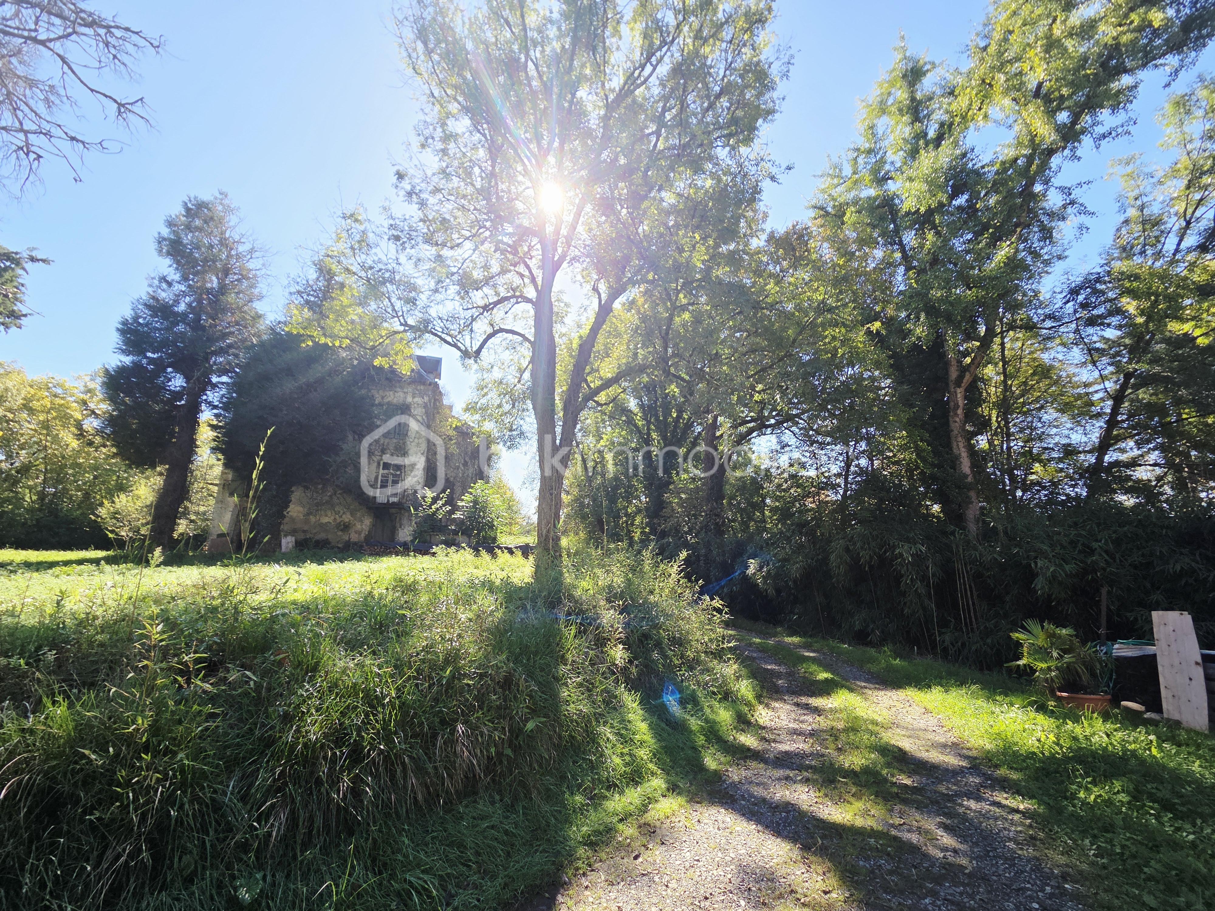 Immeuble de 1 500 m² - 20251006_124337.jpg