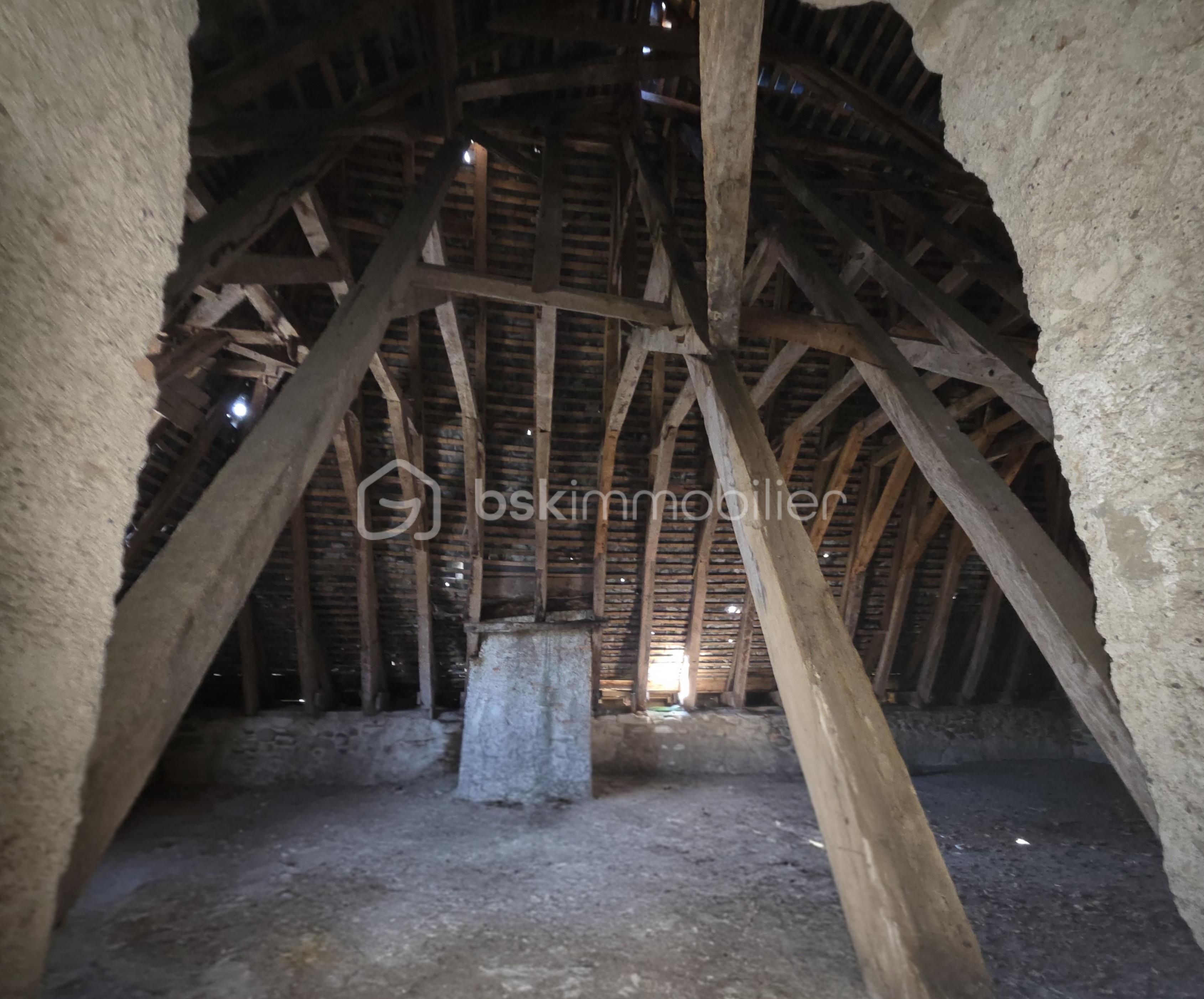 Immeuble de 1 500 m² - 20251006_112202(1).jpg