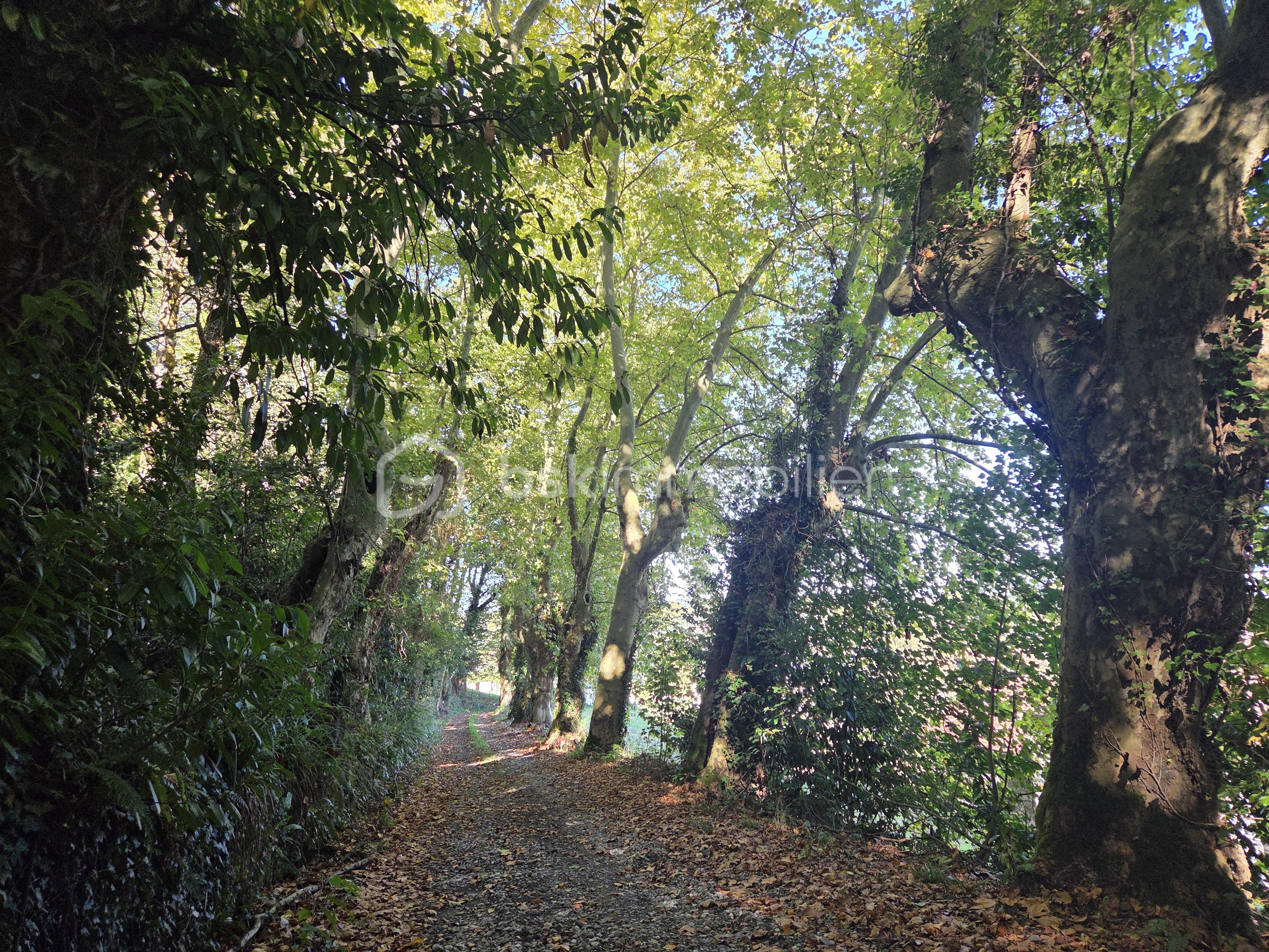 Immeuble de 1 500 m² - 20251006_125204.jpg