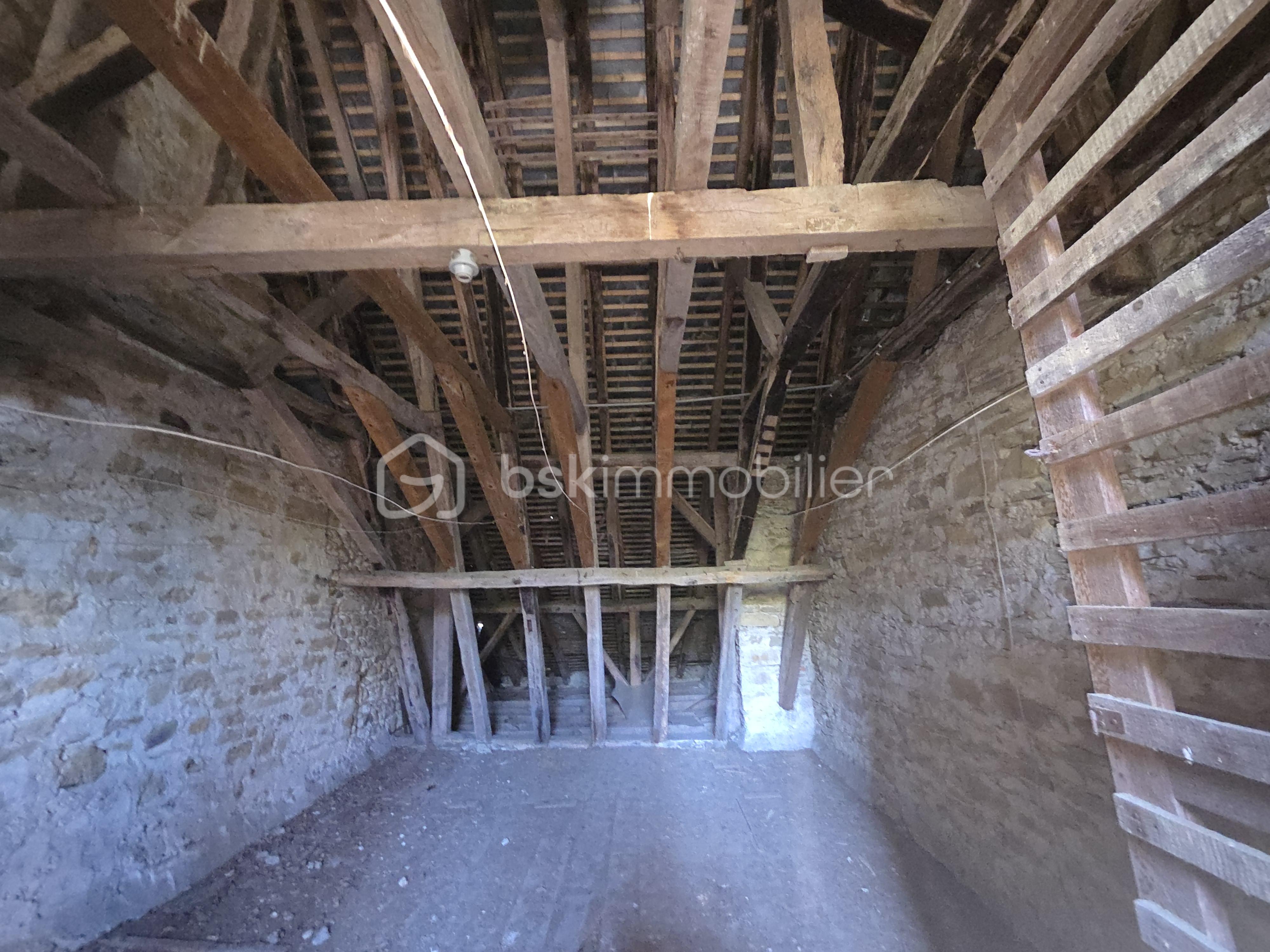 Immeuble de 1 500 m² - 20251006_112032.jpg