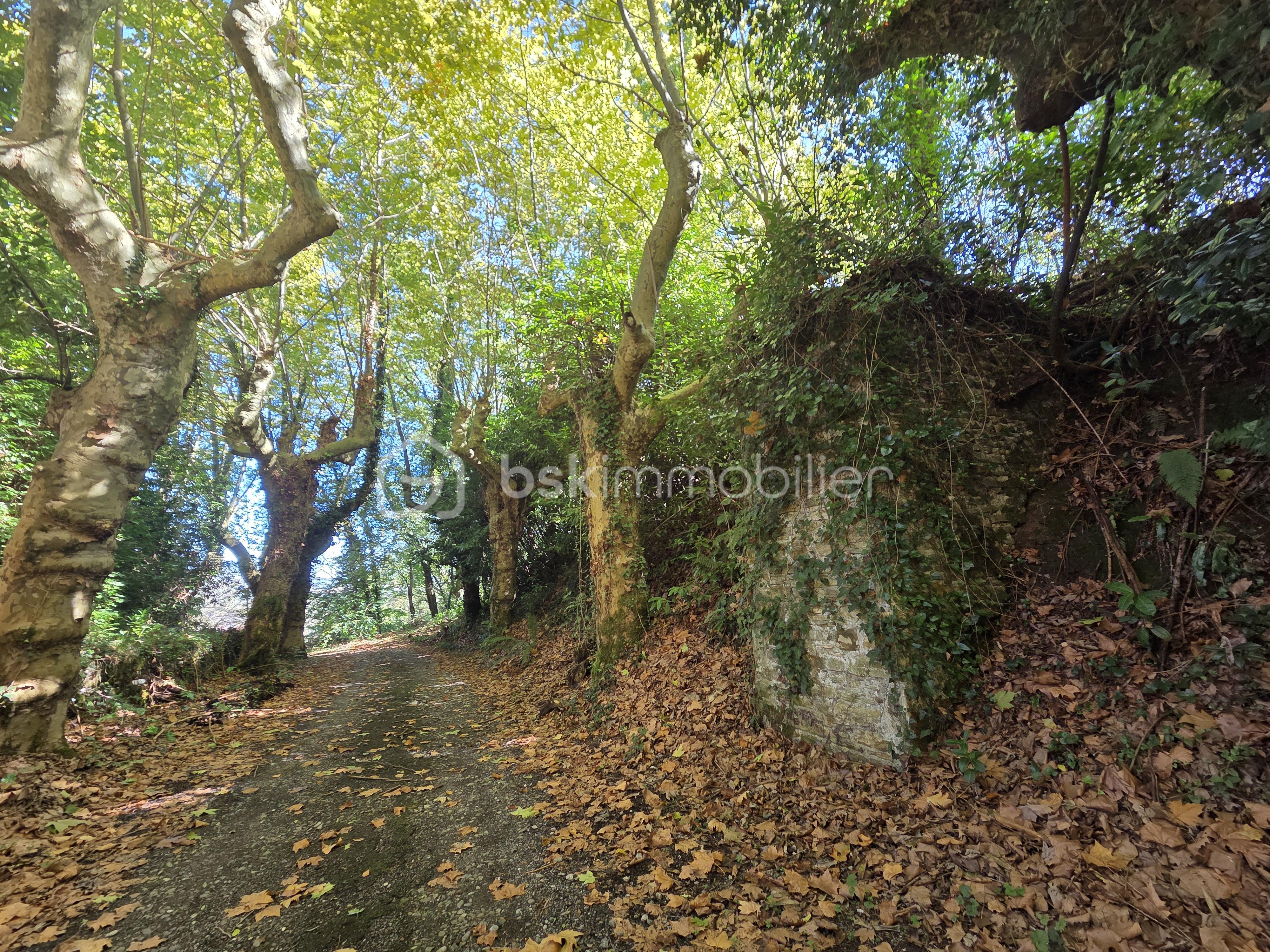 Immeuble de 1 500 m² - 20251006_124859.jpg