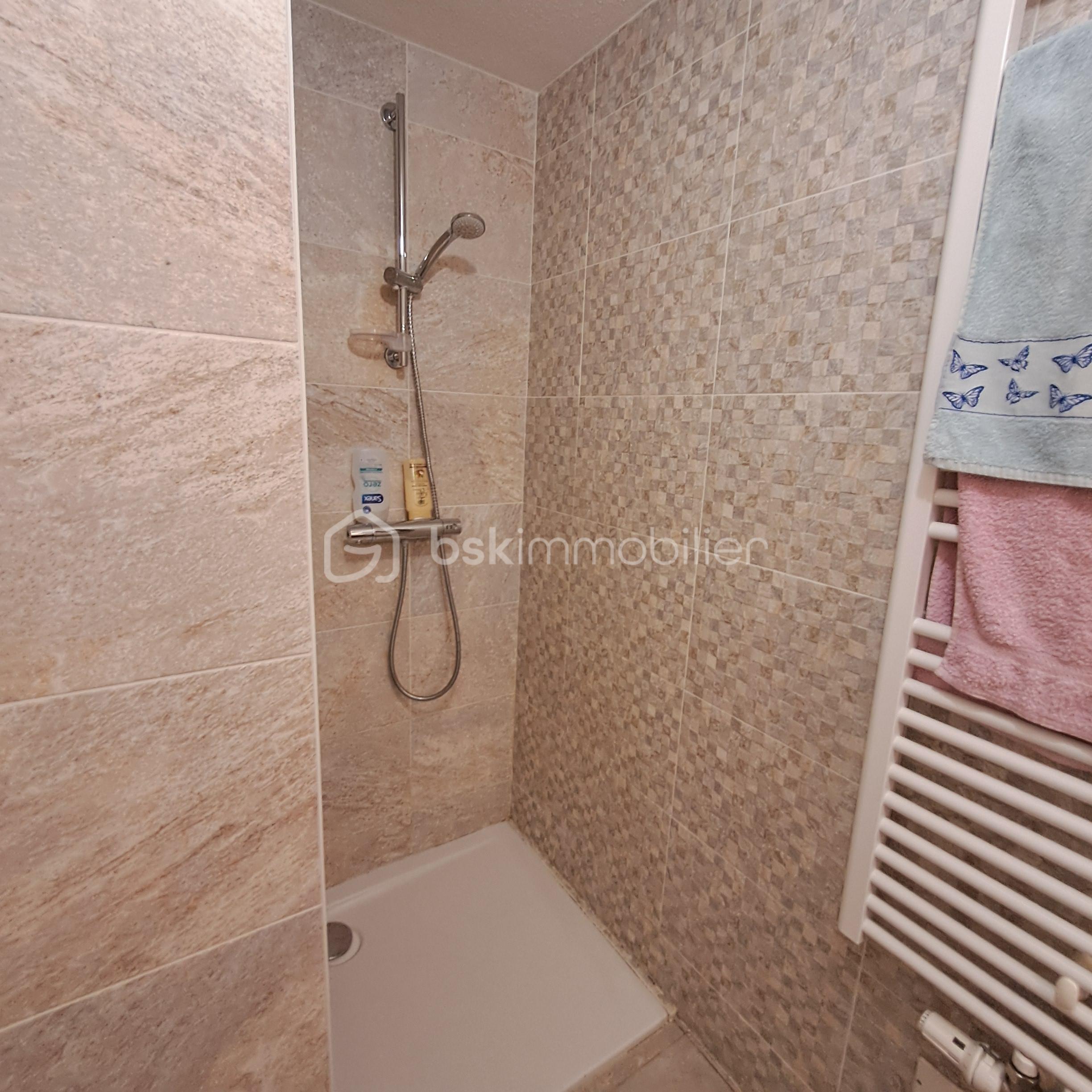 salle d eau douche.jpg