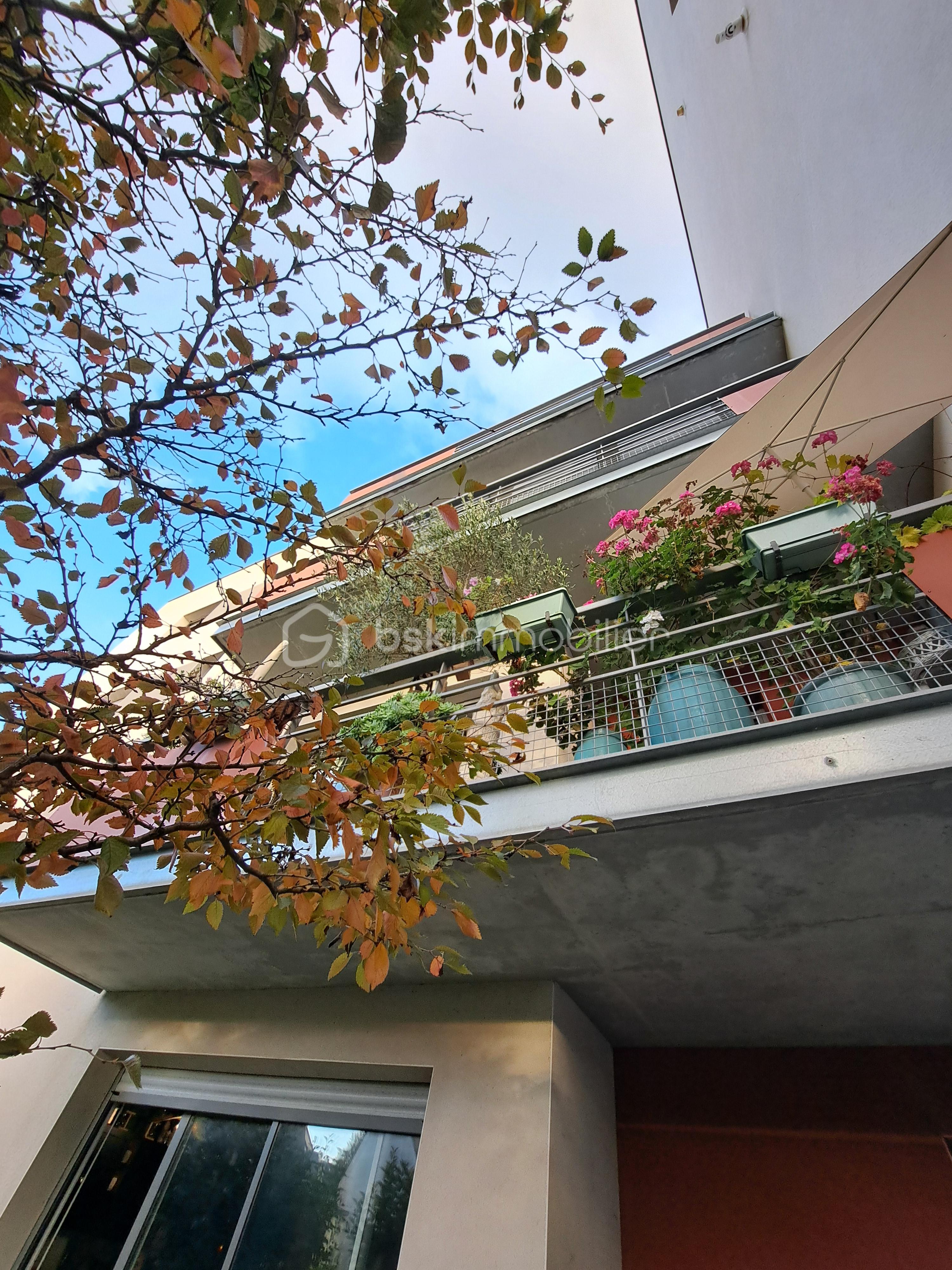 FACADE TERRASSE.jpg