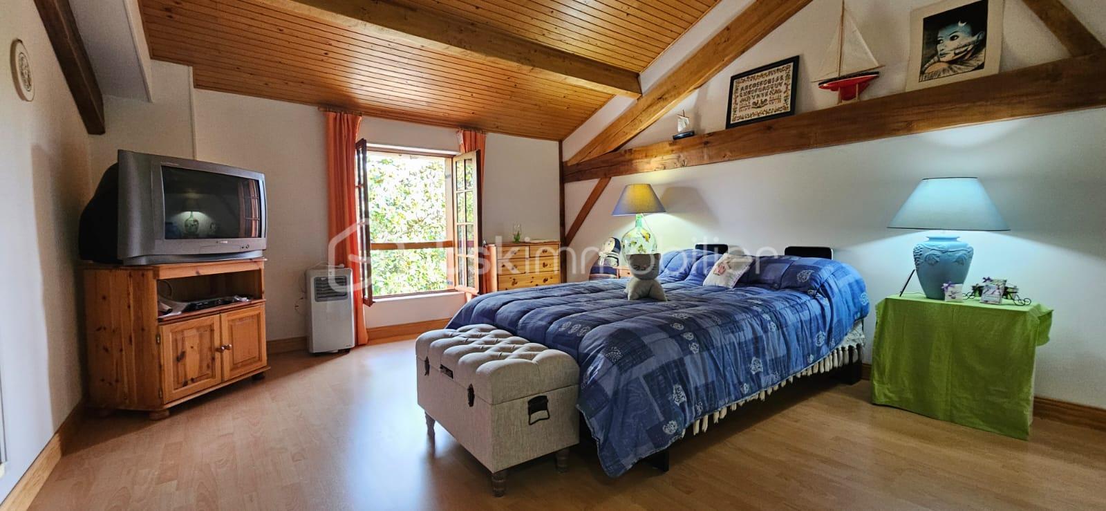 WhatsApp Image 2026-02-09 at 10.09.11(23).jpeg