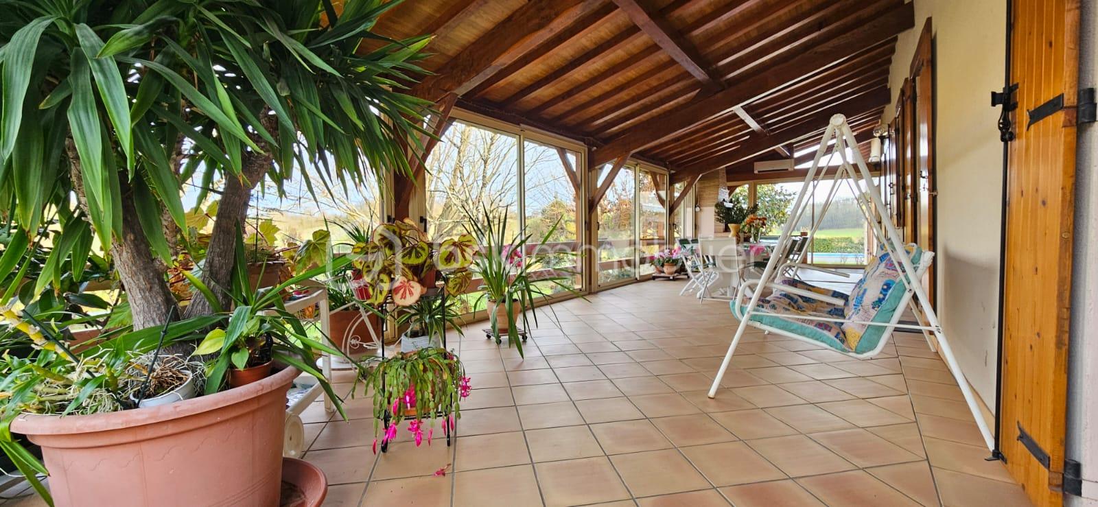 WhatsApp Image 2026-02-09 at 10.09.11(20).jpeg