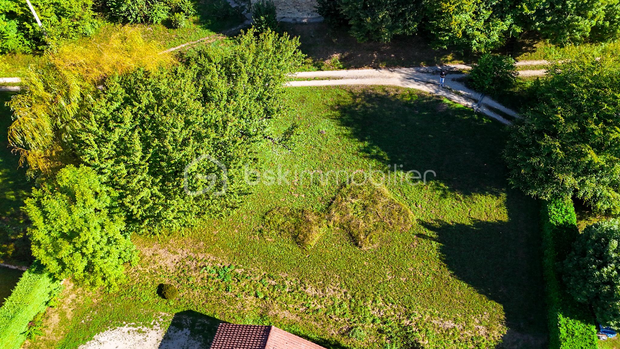 Terrain de 1 344 m² - dji_fly_20250903_101238_0023_1756887391642_photo.jpg