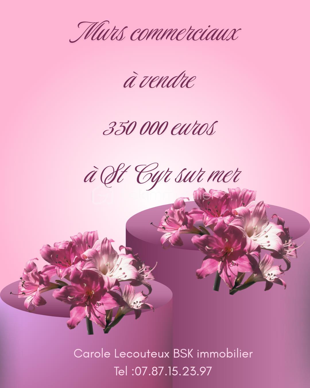 Murs commerciaux à vendre 350 000 euros_20261024_174419_0000.png