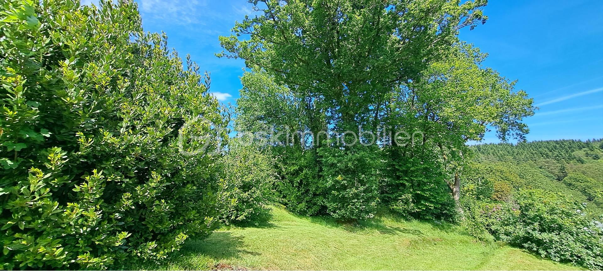 jardin et vue forêt.jpg