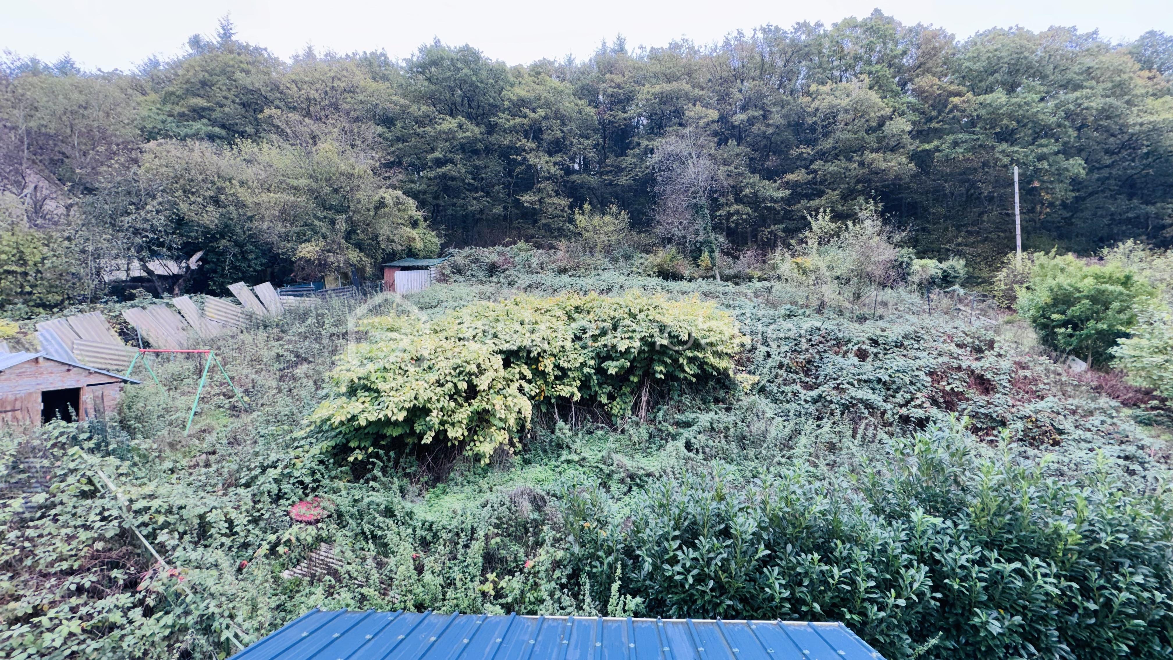 IMG_6938.jpeg