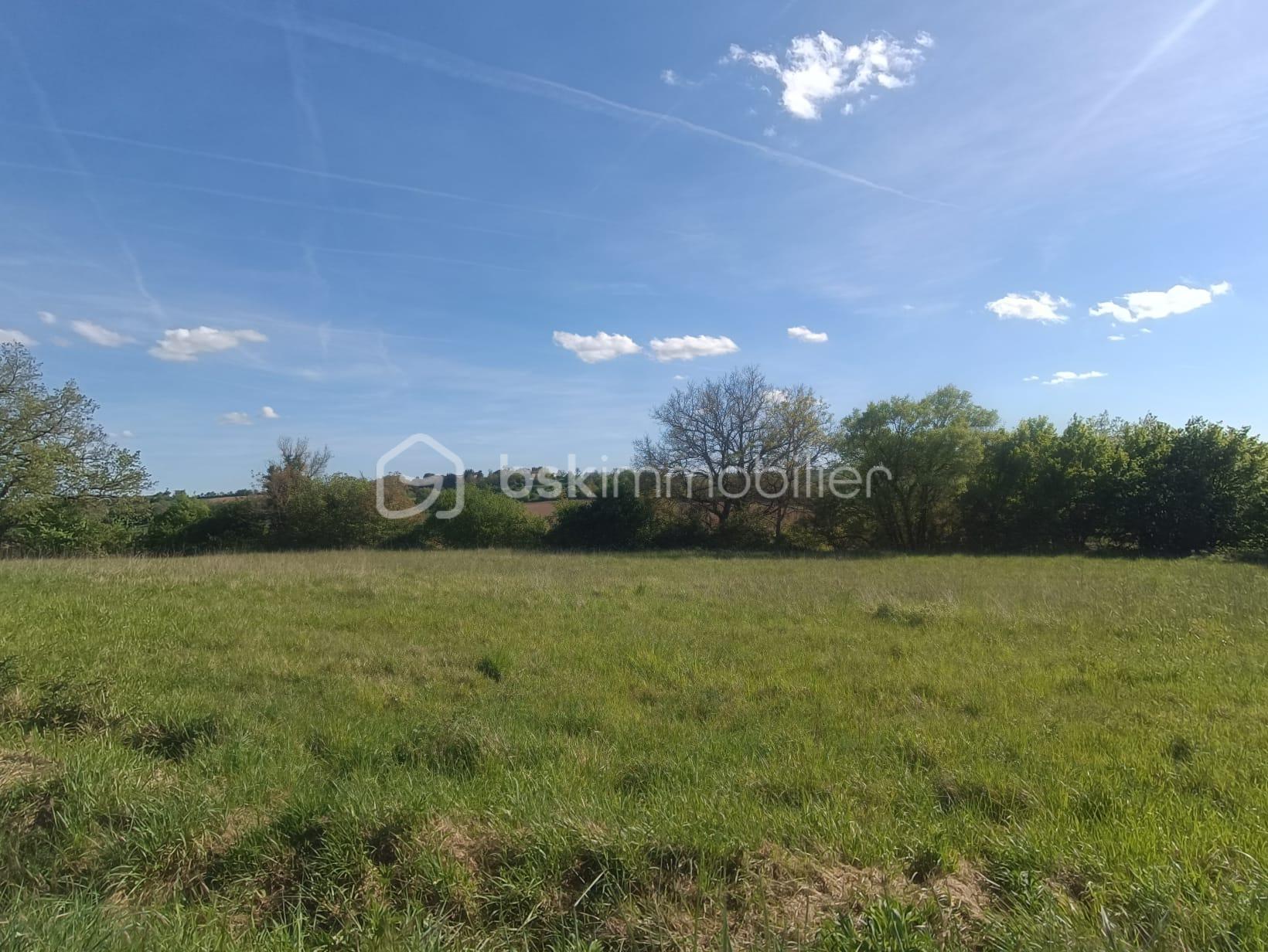 WhatsApp Image 2026-04-18 at 16.51.21.jpeg