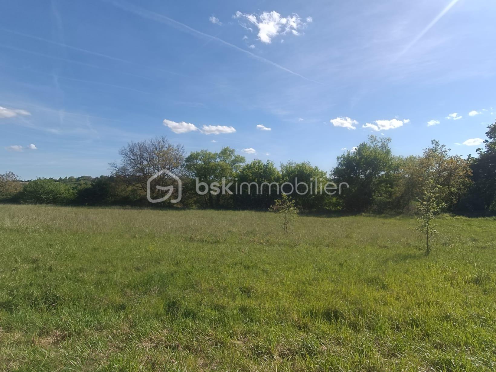 WhatsApp Image 2026-04-18 at 16.51.21 (1).jpeg