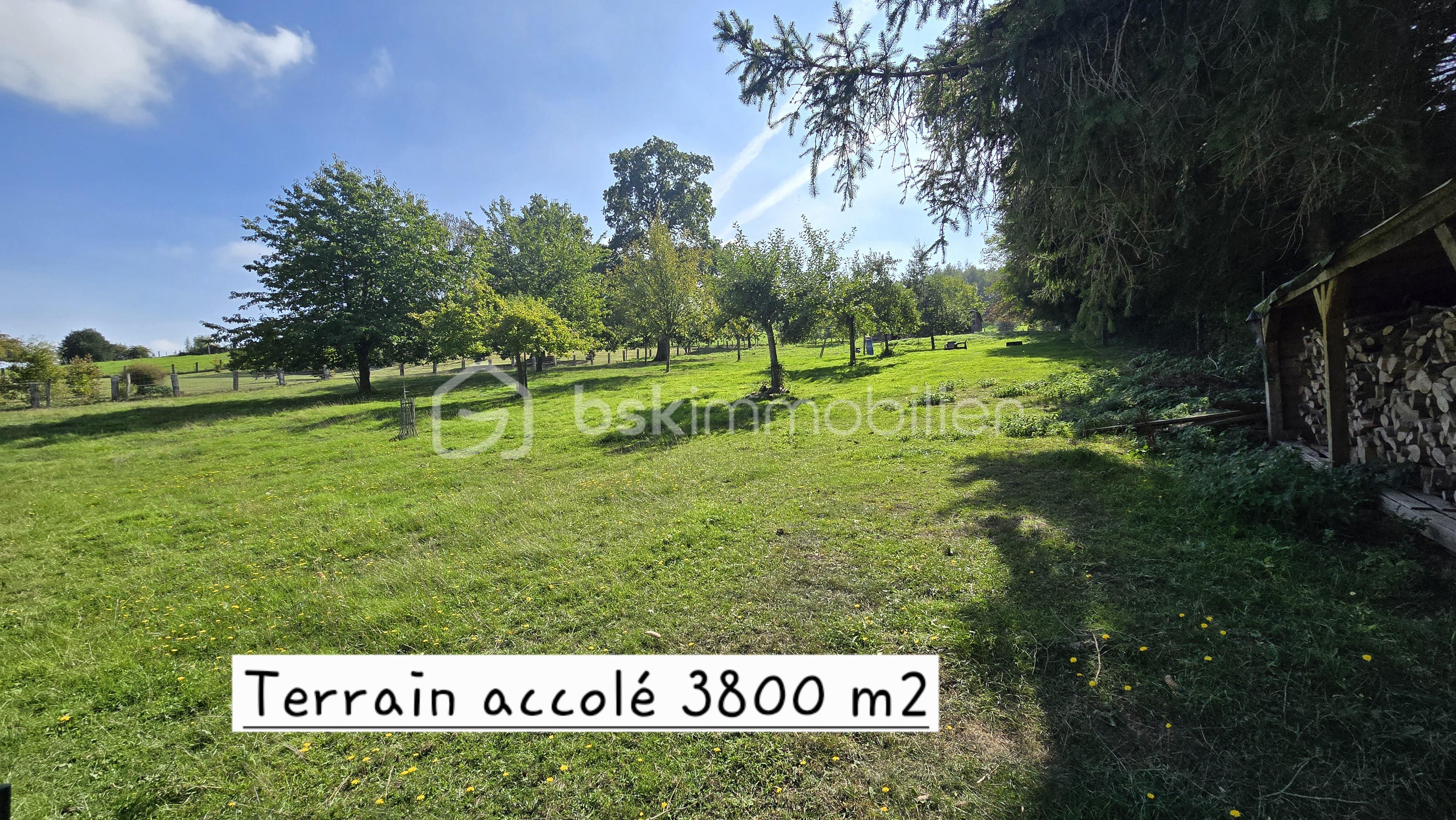 24 Terrain 3800 m².jpg