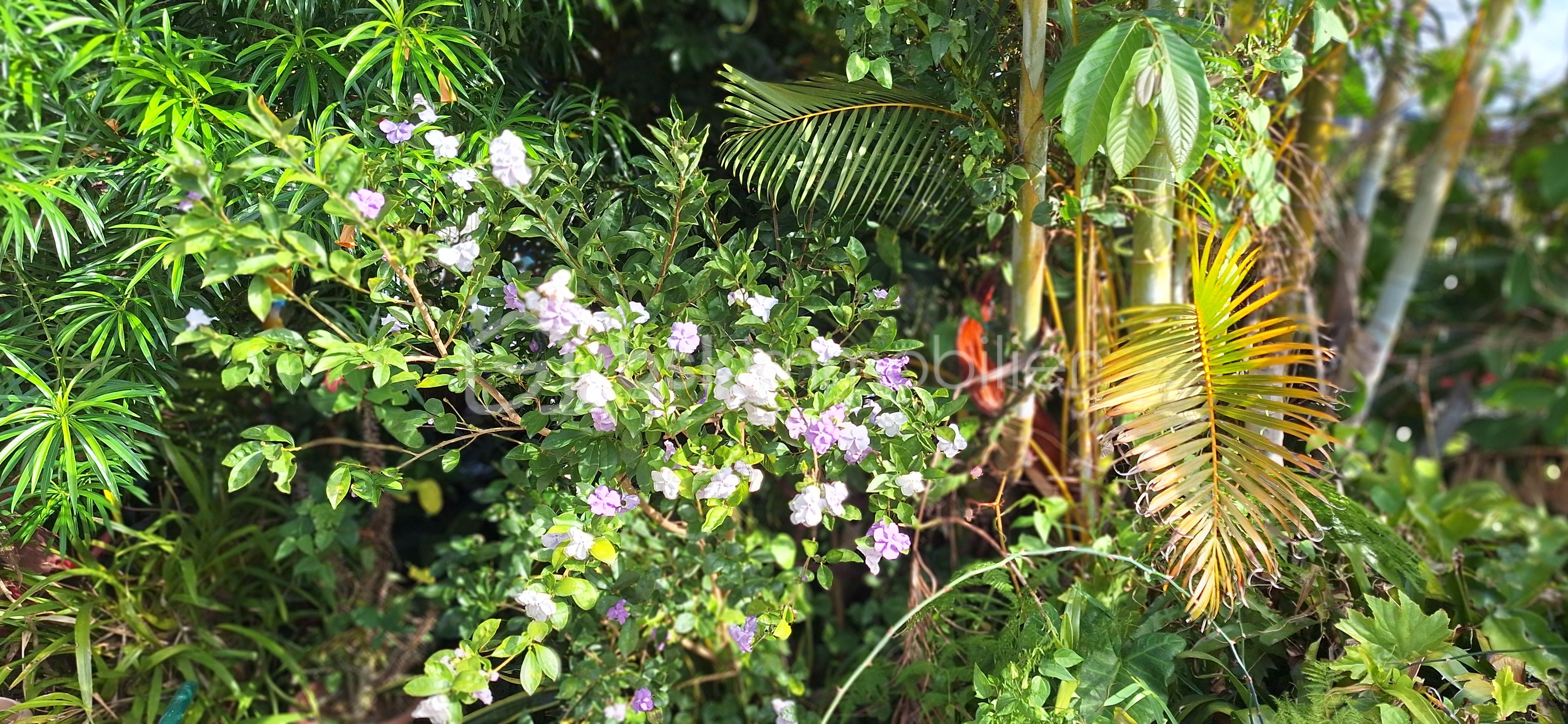 20251016_155635.jpg