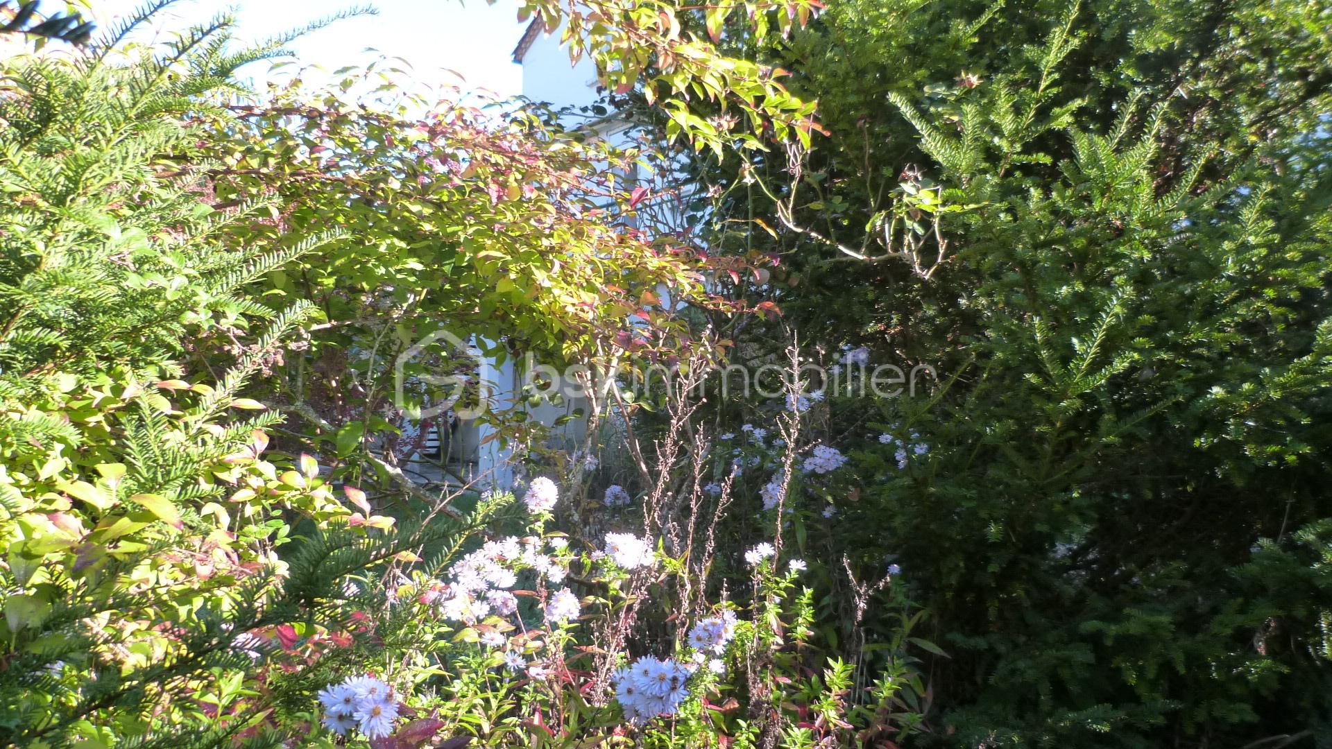 Maison en pierre de 261 m² - P1050611.JPG