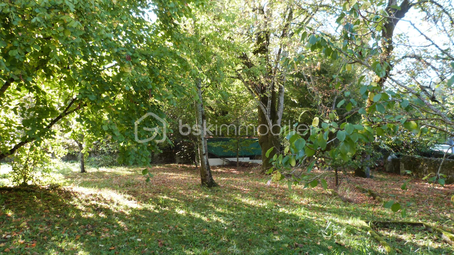 Maison en pierre de 261 m² - P1050609.JPG