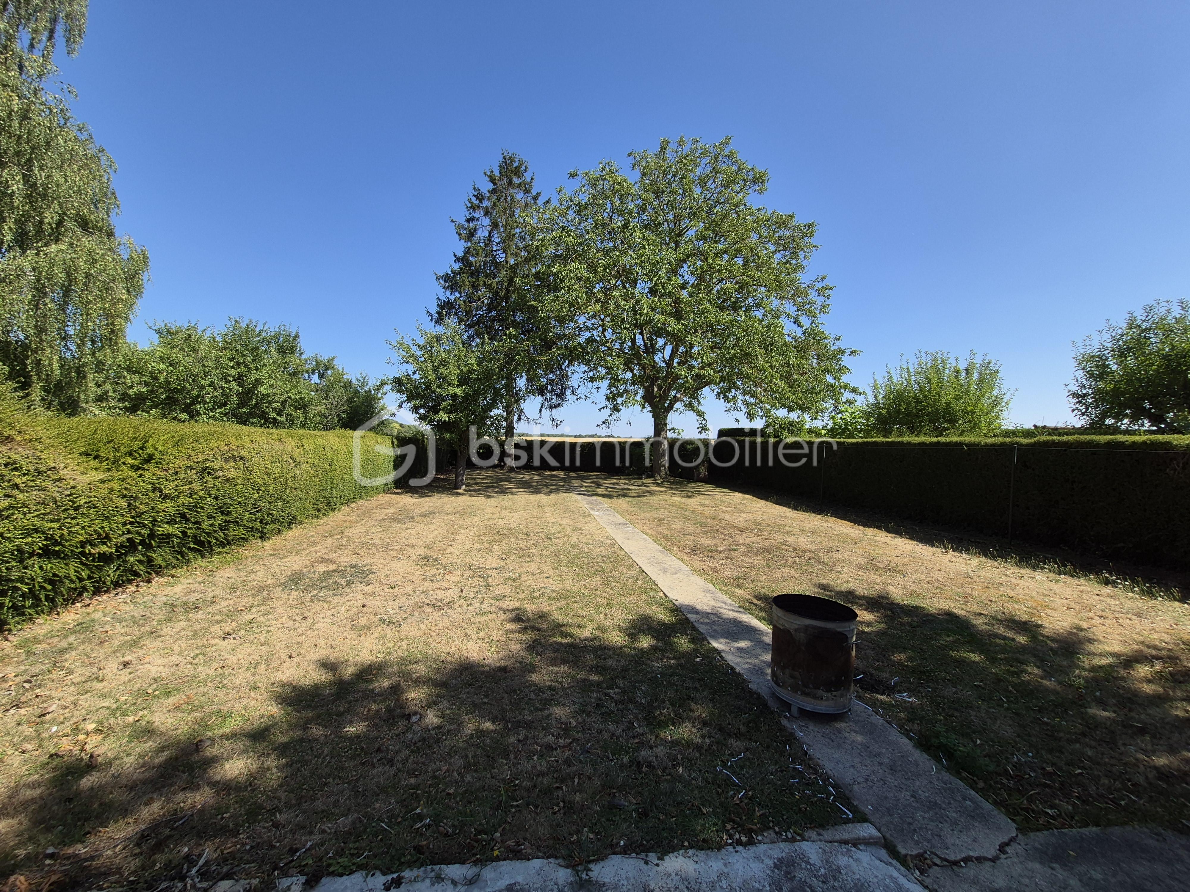 jardin du fond.jpg
