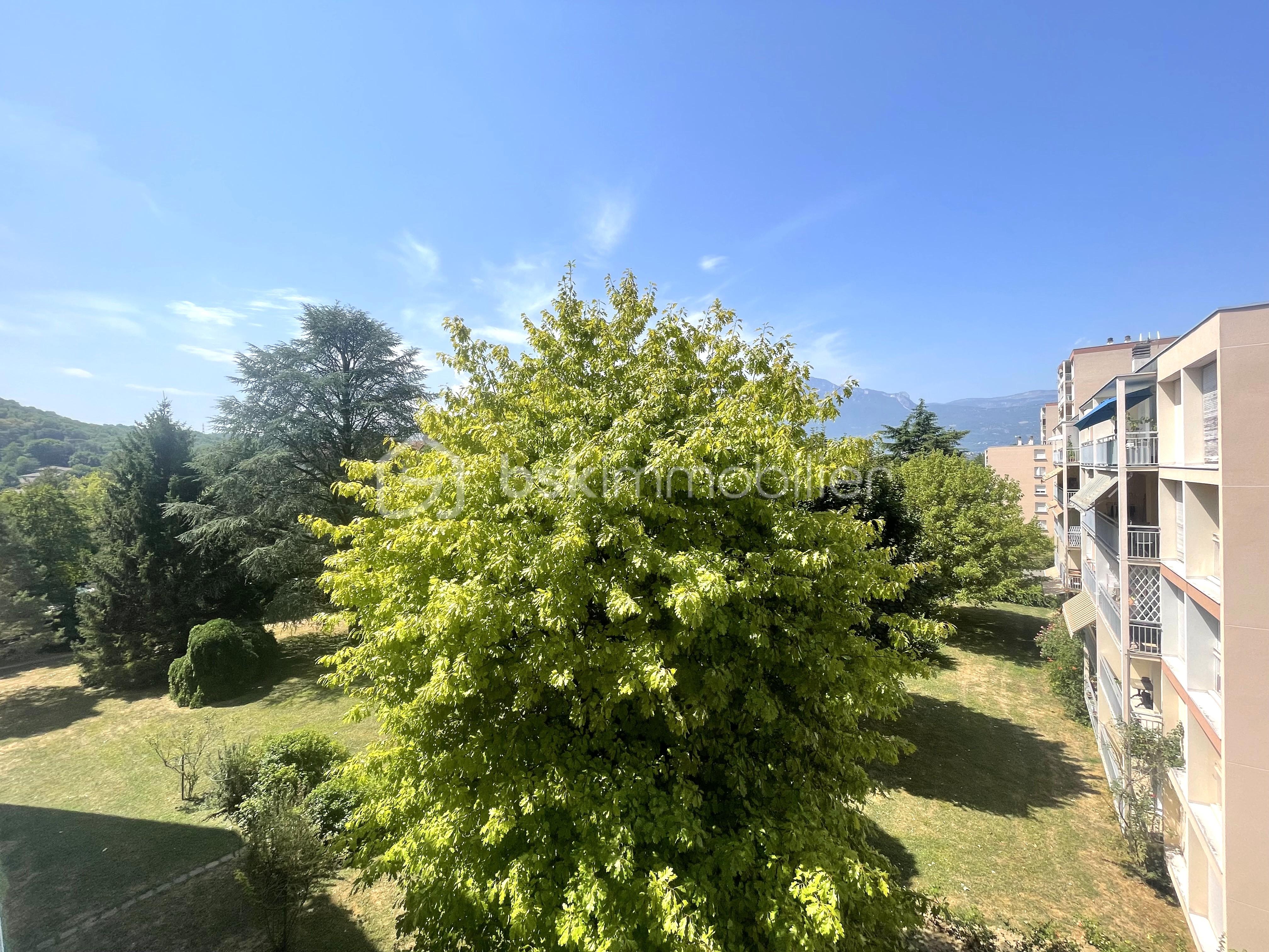 IMG_9587.jpeg