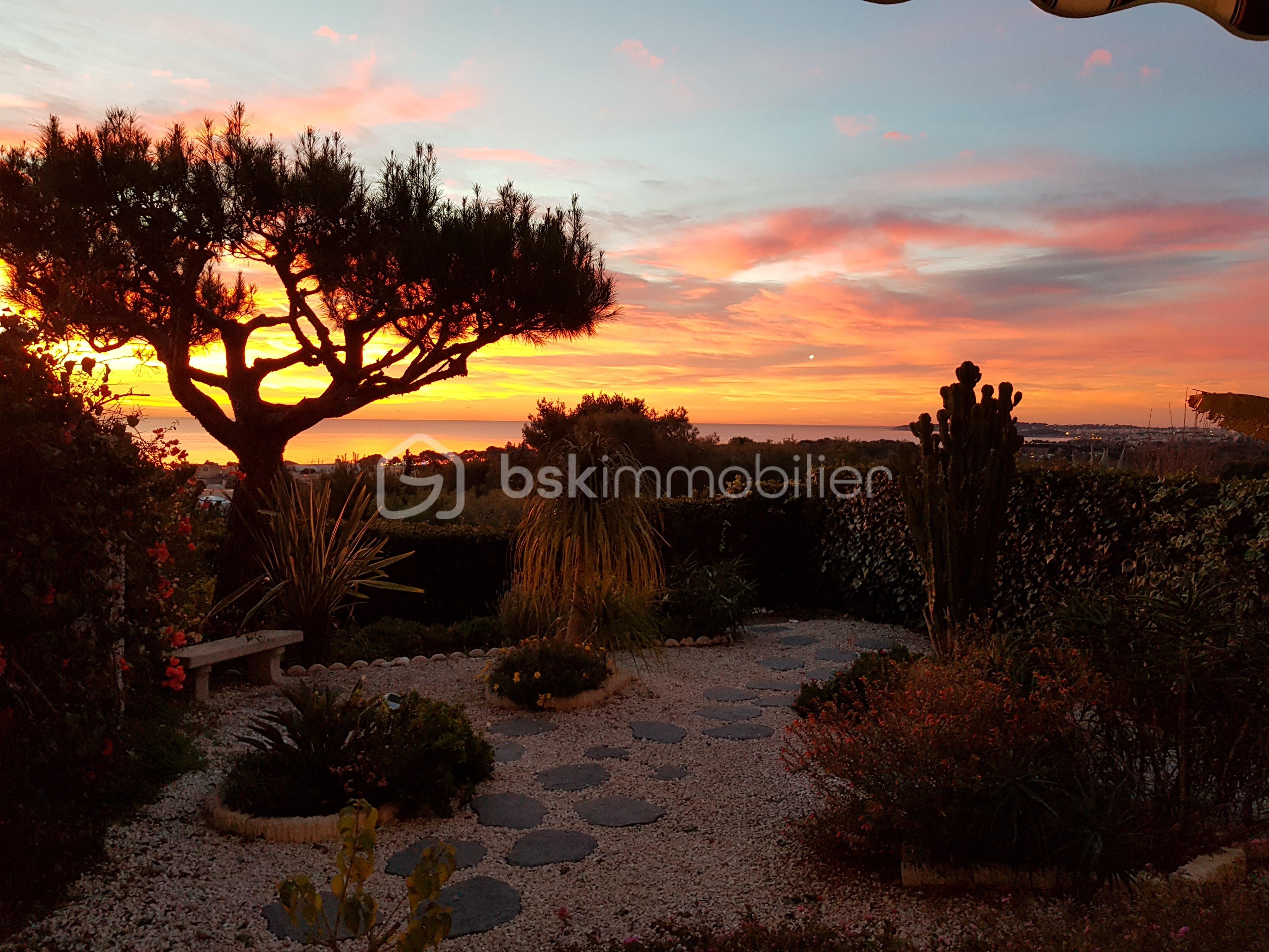 jardin vue mer.jpg